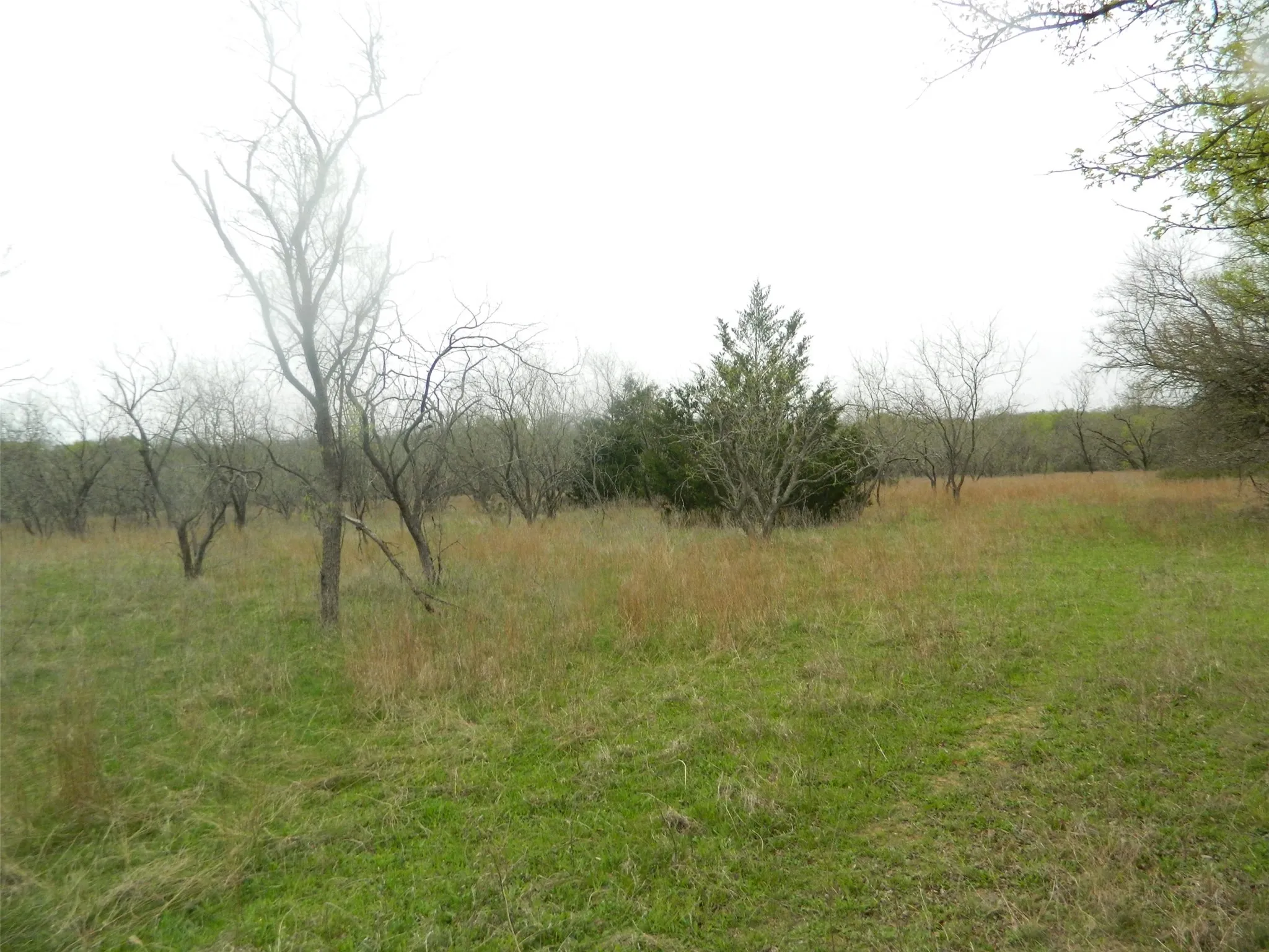 Land View