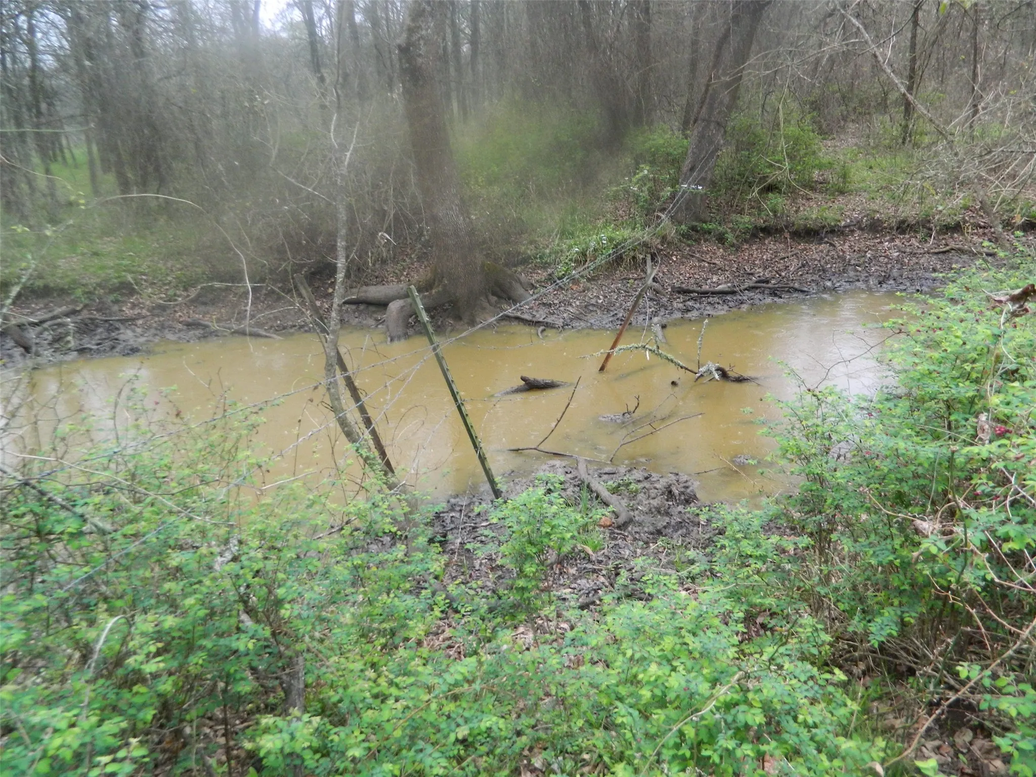 Smaller pond