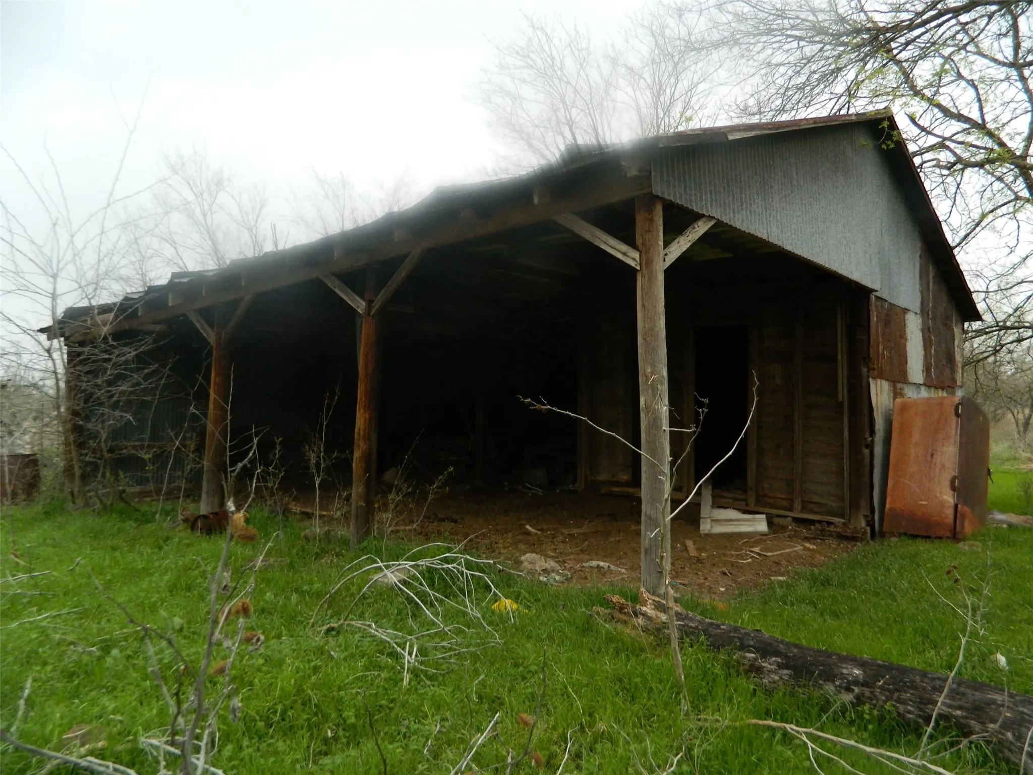 Shed
