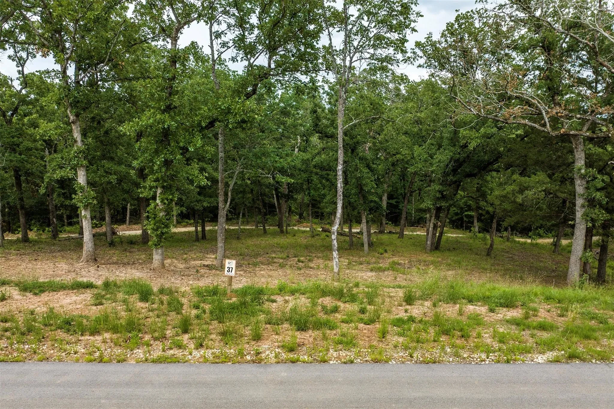 Lot 37