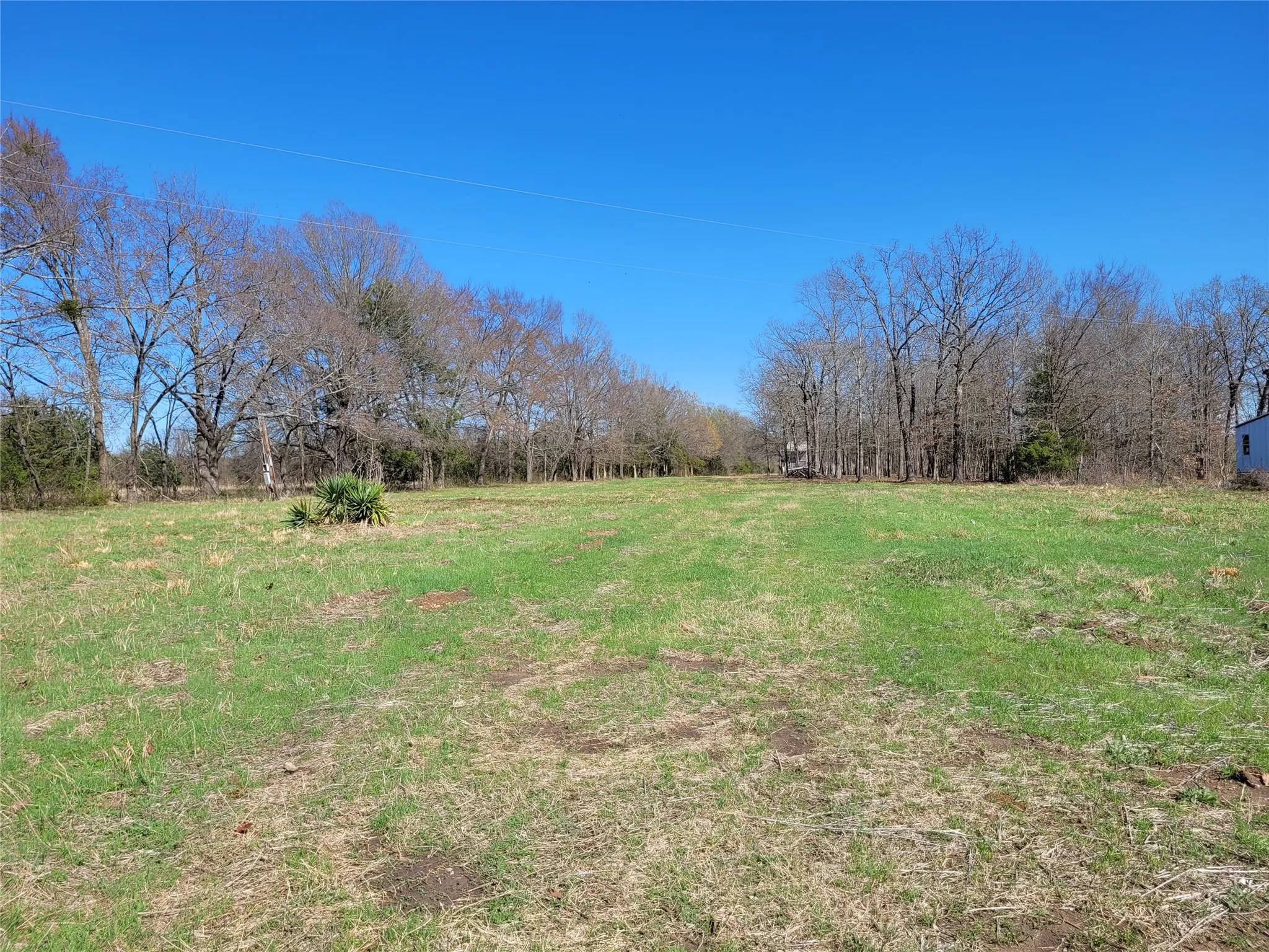 Improved Land For Sale in Red River (TX) County , TBD County Road 2140, Detroit, Texas 75436, 0, 0, Garage spaces, 0 Sqft, built in 0, mls#21204628, Real Estate Agent in Detroit, Homes For Sale in Red River (TX) county, Homes For Sale in Detroit, Realtor in Detroit Texas, Real Estate Brokerage Independent Realty Texas, Luminita Cordes Realtor