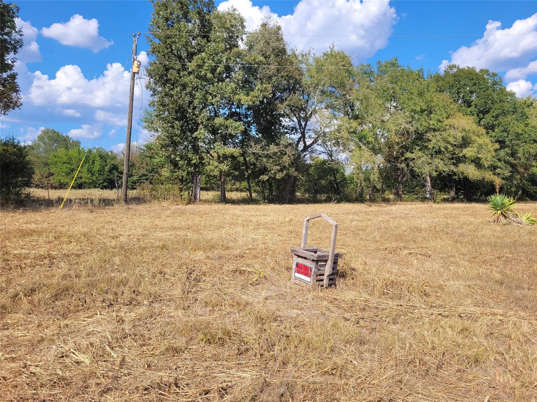 Improved Land For Sale in Red River (TX) County , TBD County Road 2140, Detroit, Texas 75436, 0, 0, Garage spaces, 0 Sqft, built in 0, mls#21204628, Real Estate Agent in Detroit, Homes For Sale in Red River (TX) county, Homes For Sale in Detroit, Realtor in Detroit Texas, Real Estate Brokerage Independent Realty Texas, Luminita Cordes Realtor