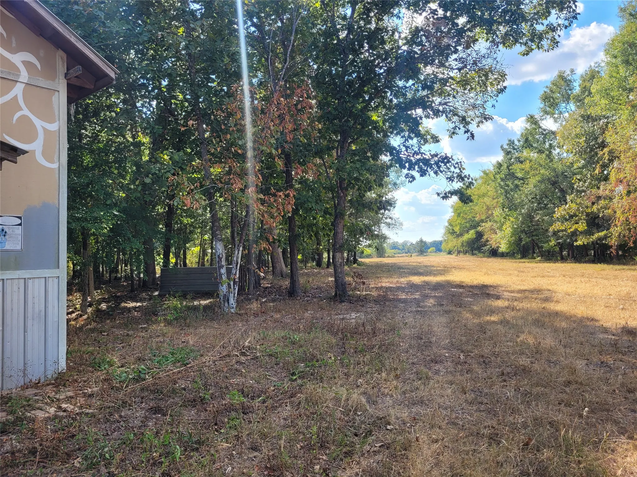 Improved Land For Sale in Red River (TX) County , TBD County Road 2140, Detroit, Texas 75436, 0, 0, Garage spaces, 0 Sqft, built in 0, mls#21204628, Real Estate Agent in Detroit, Homes For Sale in Red River (TX) county, Homes For Sale in Detroit, Realtor in Detroit Texas, Real Estate Brokerage Independent Realty Texas, Luminita Cordes Realtor