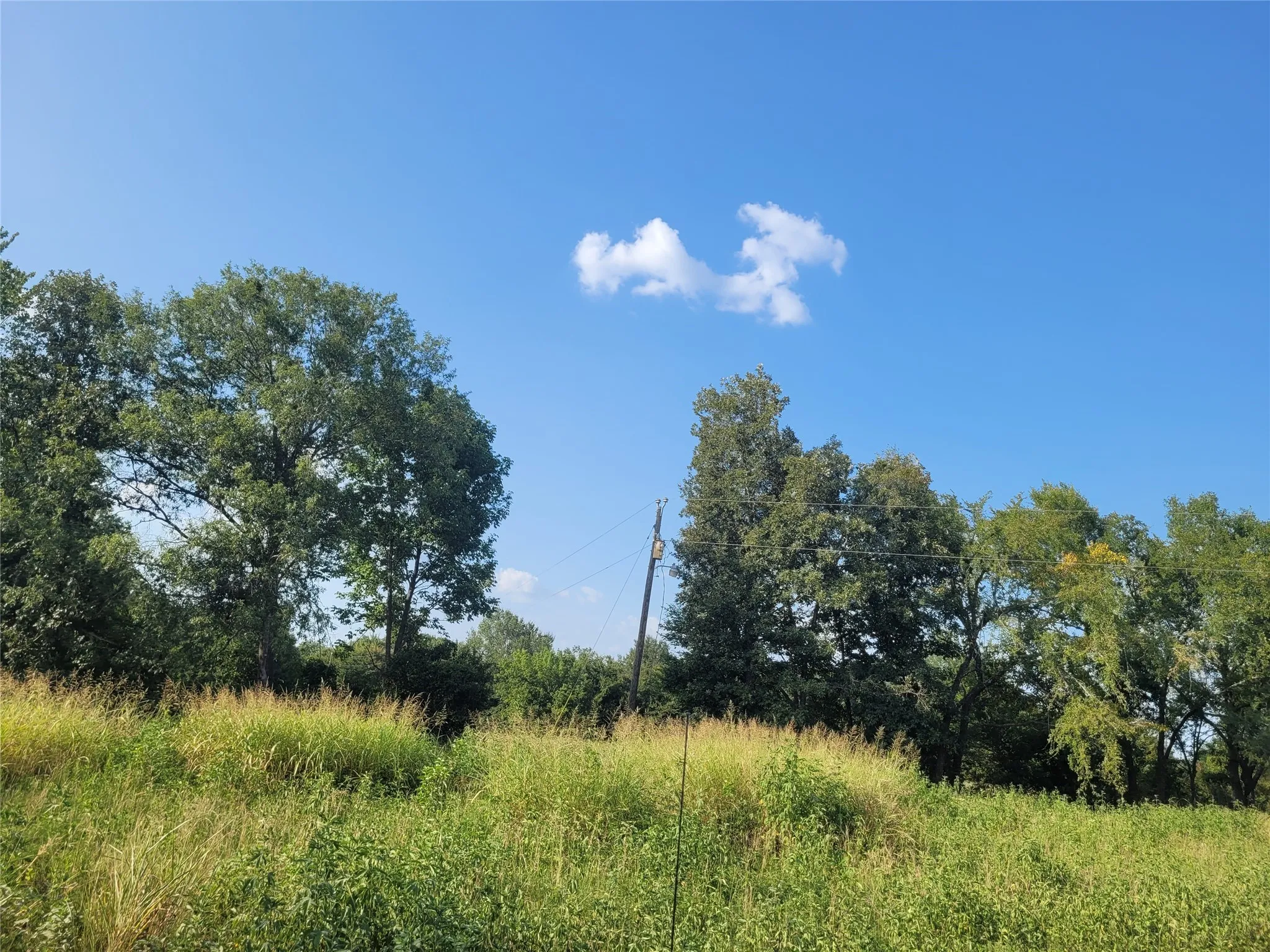 Improved Land For Sale in Red River (TX) County , TBD County Road 2140, Detroit, Texas 75436, 0, 0, Garage spaces, 0 Sqft, built in 0, mls#21204628, Real Estate Agent in Detroit, Homes For Sale in Red River (TX) county, Homes For Sale in Detroit, Realtor in Detroit Texas, Real Estate Brokerage Independent Realty Texas, Luminita Cordes Realtor