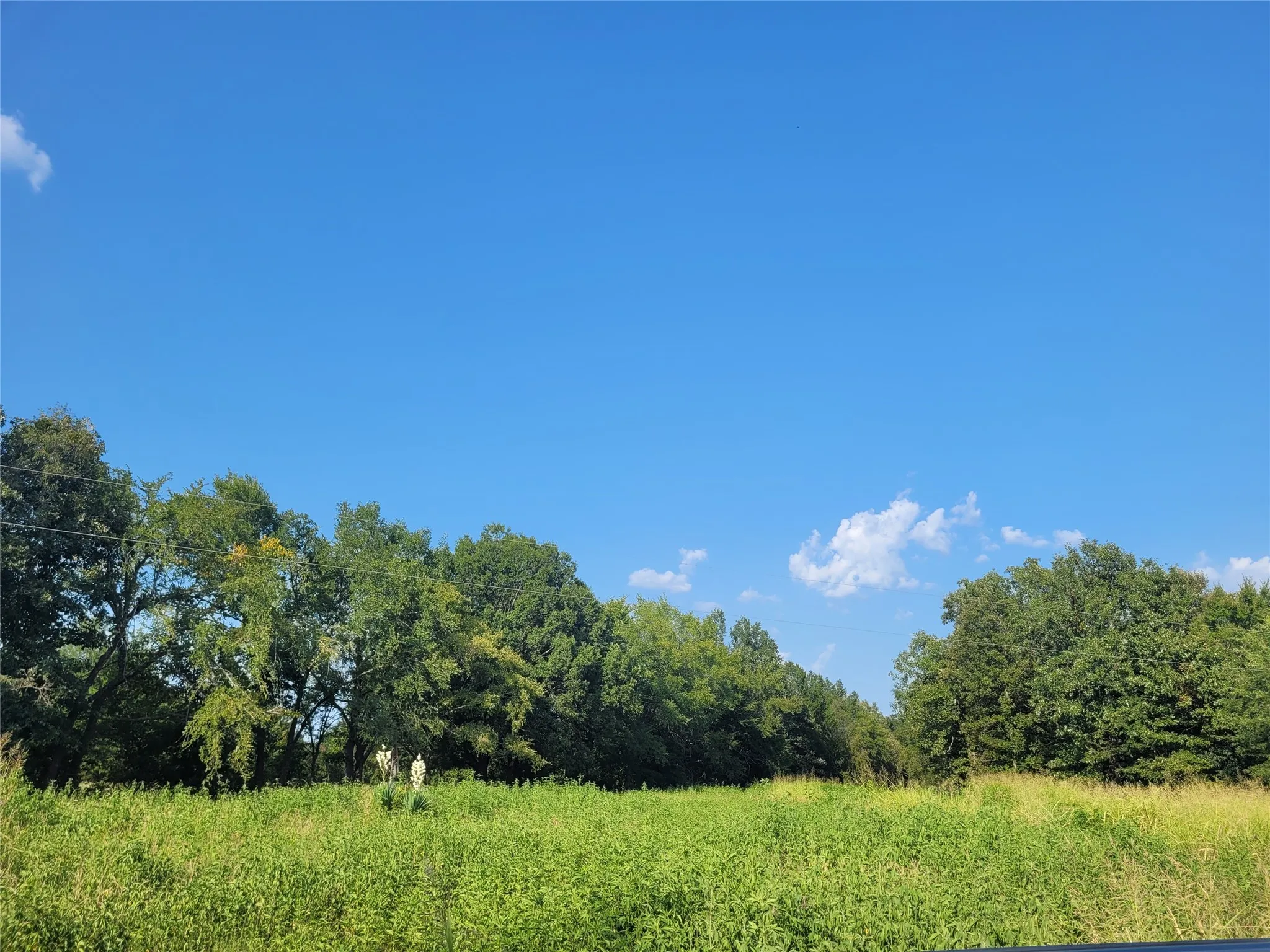 Improved Land For Sale in Red River (TX) County , TBD County Road 2140, Detroit, Texas 75436, 0, 0, Garage spaces, 0 Sqft, built in 0, mls#21204628, Real Estate Agent in Detroit, Homes For Sale in Red River (TX) county, Homes For Sale in Detroit, Realtor in Detroit Texas, Real Estate Brokerage Independent Realty Texas, Luminita Cordes Realtor
