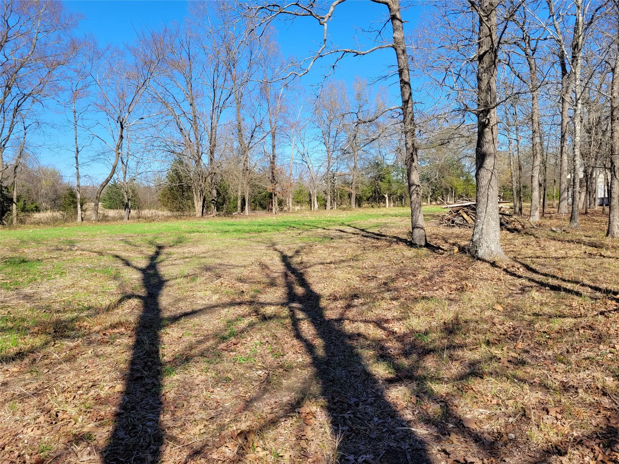 Improved Land For Sale in Red River (TX) County , TBD County Road 2140, Detroit, Texas 75436, 0, 0, Garage spaces, 0 Sqft, built in 0, mls#21204628, Real Estate Agent in Detroit, Homes For Sale in Red River (TX) county, Homes For Sale in Detroit, Realtor in Detroit Texas, Real Estate Brokerage Independent Realty Texas, Luminita Cordes Realtor