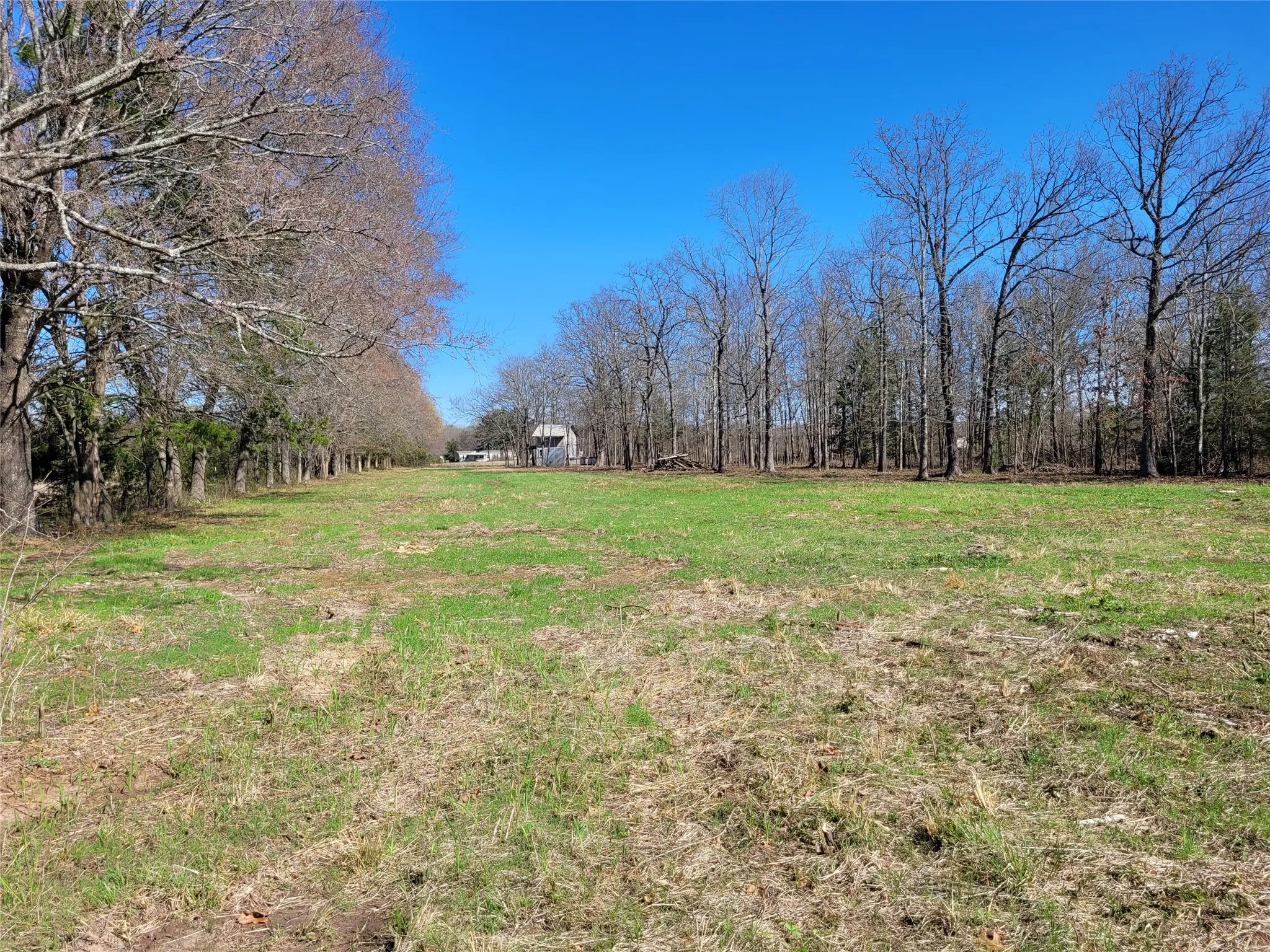Improved Land For Sale in Red River (TX) County , TBD County Road 2140, Detroit, Texas 75436, 0, 0, Garage spaces, 0 Sqft, built in 0, mls#21204628, Real Estate Agent in Detroit, Homes For Sale in Red River (TX) county, Homes For Sale in Detroit, Realtor in Detroit Texas, Real Estate Brokerage Independent Realty Texas, Luminita Cordes Realtor