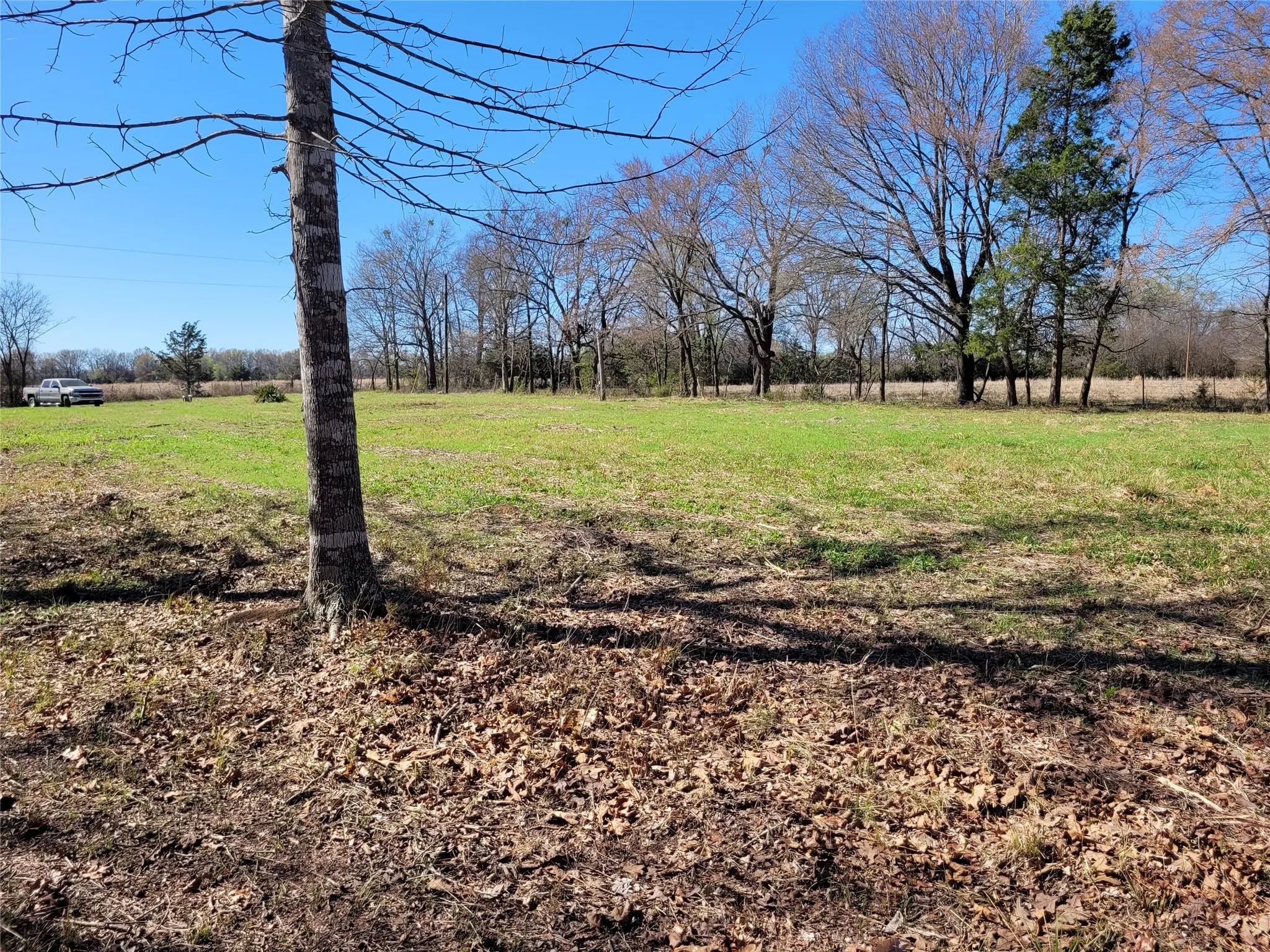Improved Land For Sale in Red River (TX) County , TBD County Road 2140, Detroit, Texas 75436, 0, 0, Garage spaces, 0 Sqft, built in 0, mls#21204628, Real Estate Agent in Detroit, Homes For Sale in Red River (TX) county, Homes For Sale in Detroit, Realtor in Detroit Texas, Real Estate Brokerage Independent Realty Texas, Luminita Cordes Realtor