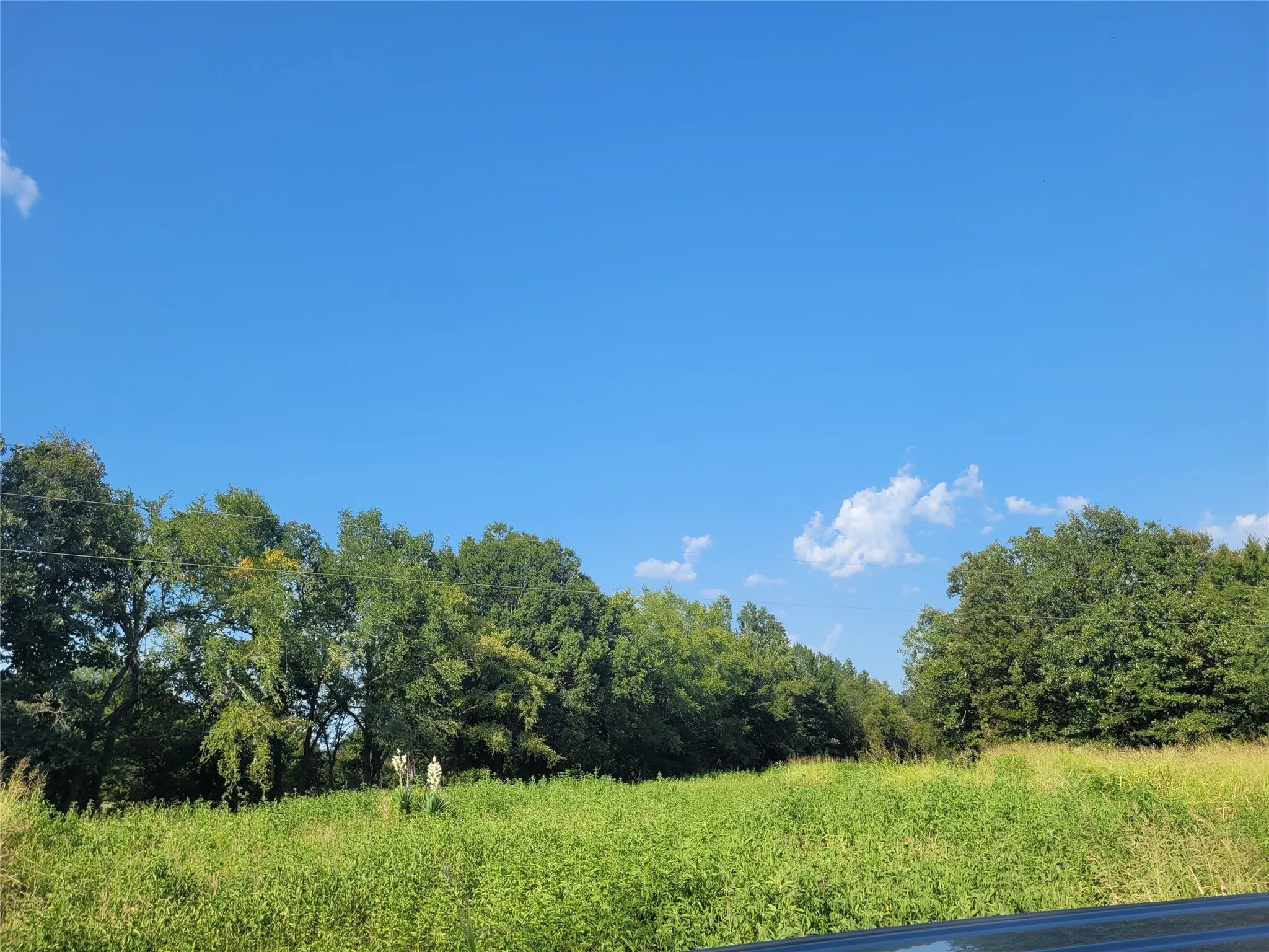 Improved Land For Sale in Red River (TX) County , TBD County Road 2140, Detroit, Texas 75436, 0, 0, Garage spaces, 0 Sqft, built in 0, mls#21204628, Real Estate Agent in Detroit, Homes For Sale in Red River (TX) county, Homes For Sale in Detroit, Realtor in Detroit Texas, Real Estate Brokerage Independent Realty Texas, Luminita Cordes Realtor