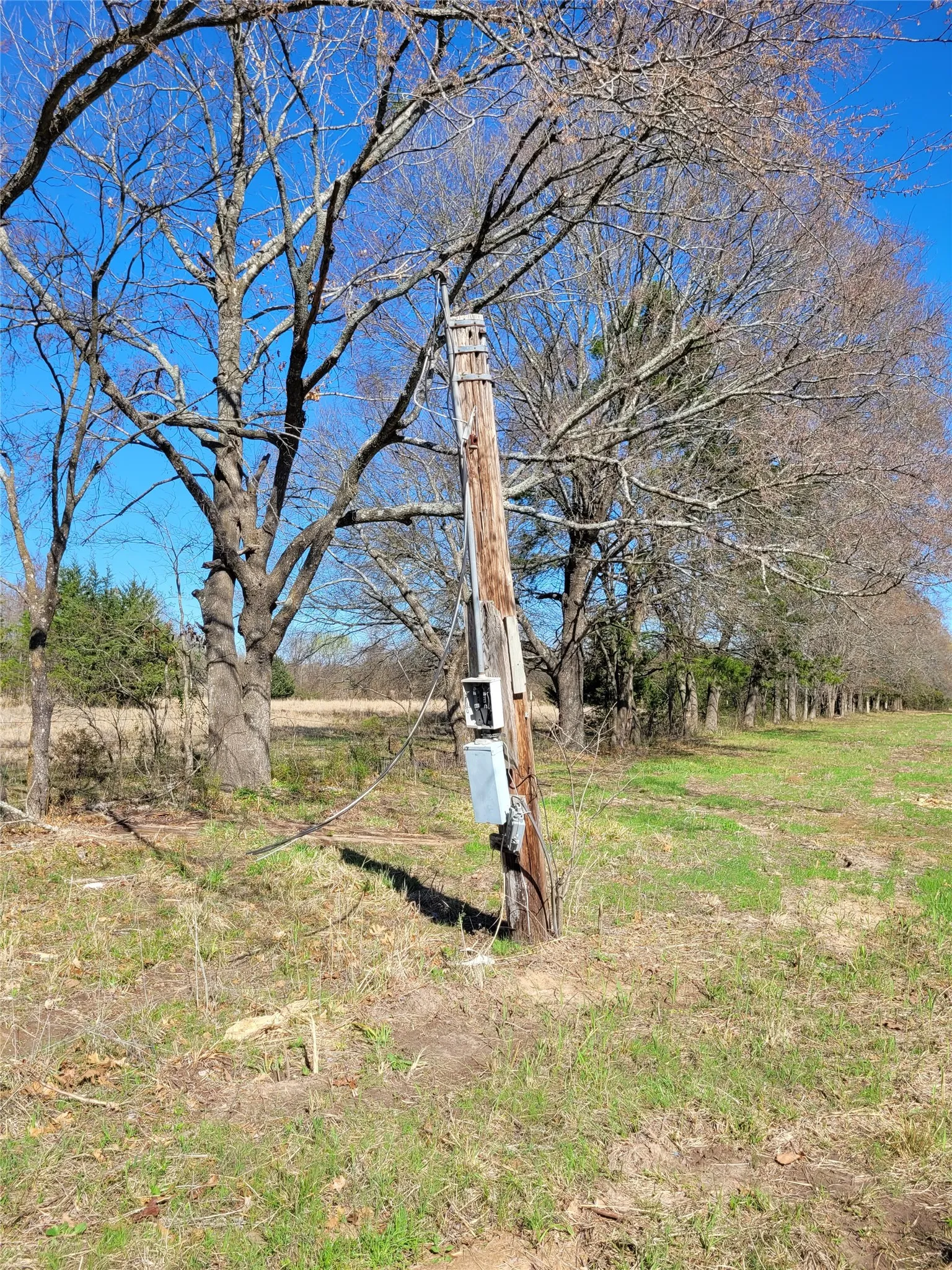 Improved Land For Sale in Red River (TX) County , TBD County Road 2140, Detroit, Texas 75436, 0, 0, Garage spaces, 0 Sqft, built in 0, mls#21204628, Real Estate Agent in Detroit, Homes For Sale in Red River (TX) county, Homes For Sale in Detroit, Realtor in Detroit Texas, Real Estate Brokerage Independent Realty Texas, Luminita Cordes Realtor