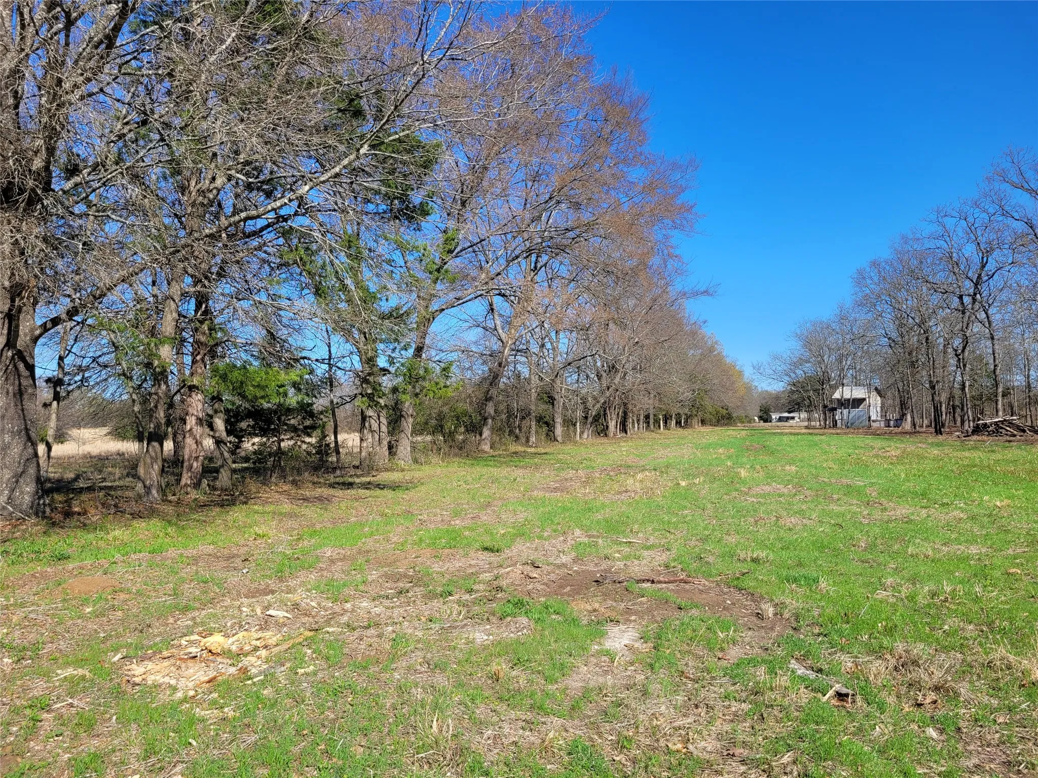 Improved Land For Sale in Red River (TX) County , TBD County Road 2140, Detroit, Texas 75436, 0, 0, Garage spaces, 0 Sqft, built in 0, mls#21204628, Real Estate Agent in Detroit, Homes For Sale in Red River (TX) county, Homes For Sale in Detroit, Realtor in Detroit Texas, Real Estate Brokerage Independent Realty Texas, Luminita Cordes Realtor