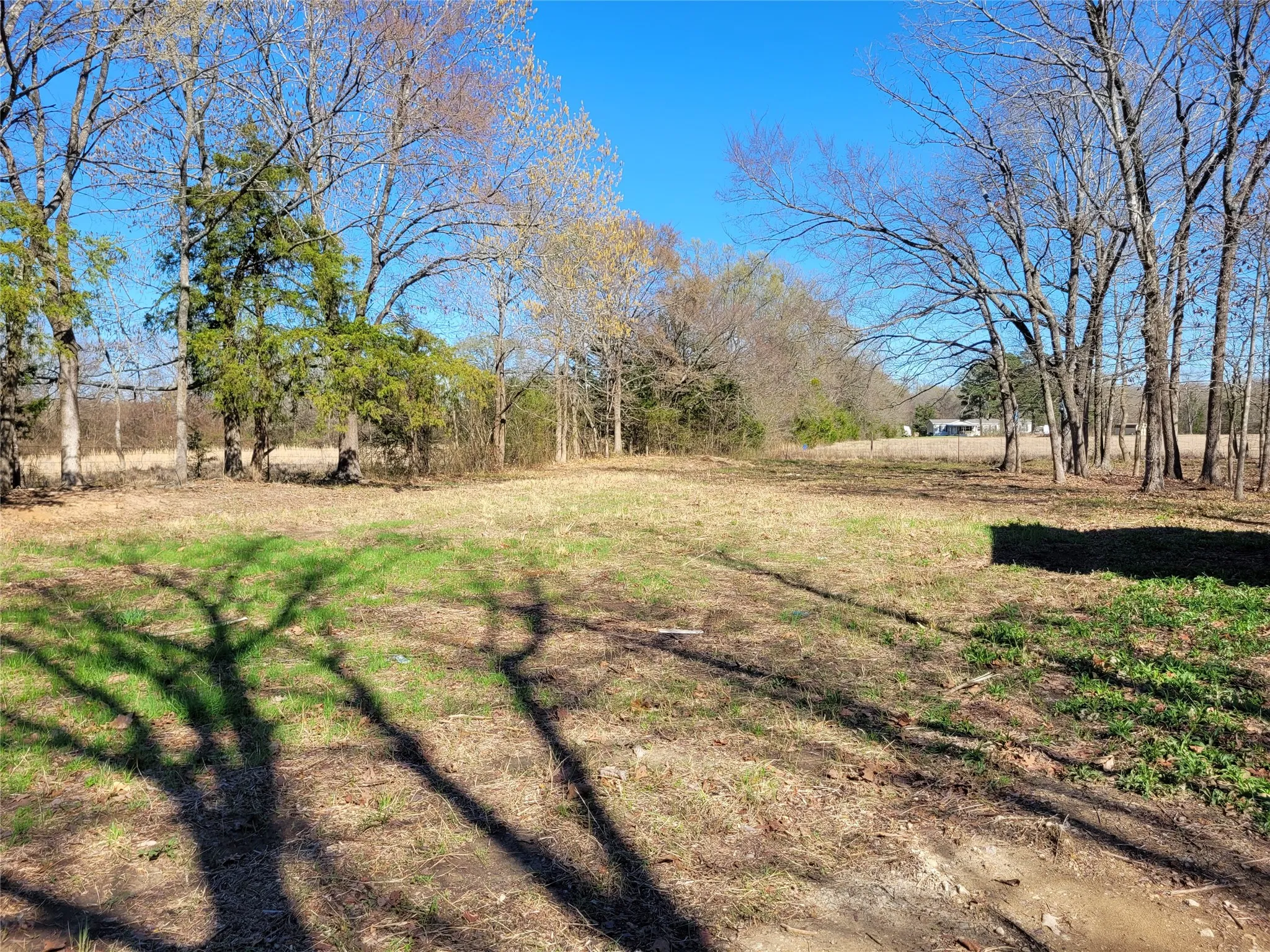 Improved Land For Sale in Red River (TX) County , TBD County Road 2140, Detroit, Texas 75436, 0, 0, Garage spaces, 0 Sqft, built in 0, mls#21204628, Real Estate Agent in Detroit, Homes For Sale in Red River (TX) county, Homes For Sale in Detroit, Realtor in Detroit Texas, Real Estate Brokerage Independent Realty Texas, Luminita Cordes Realtor