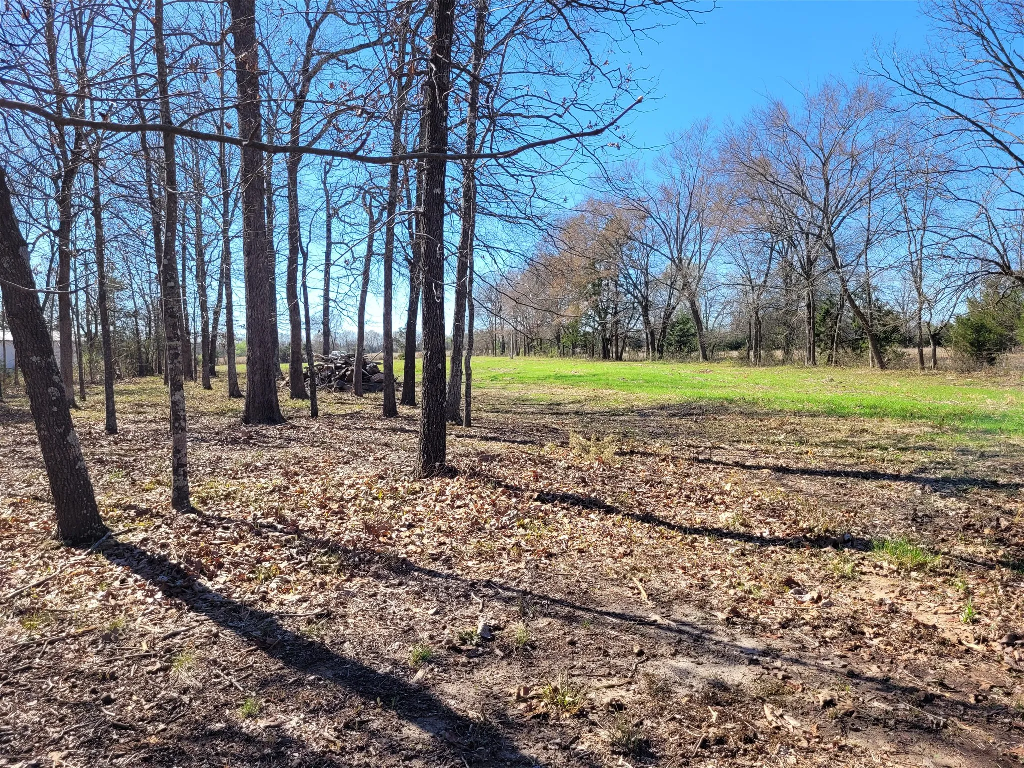 Improved Land For Sale in Red River (TX) County , TBD County Road 2140, Detroit, Texas 75436, 0, 0, Garage spaces, 0 Sqft, built in 0, mls#21204628, Real Estate Agent in Detroit, Homes For Sale in Red River (TX) county, Homes For Sale in Detroit, Realtor in Detroit Texas, Real Estate Brokerage Independent Realty Texas, Luminita Cordes Realtor