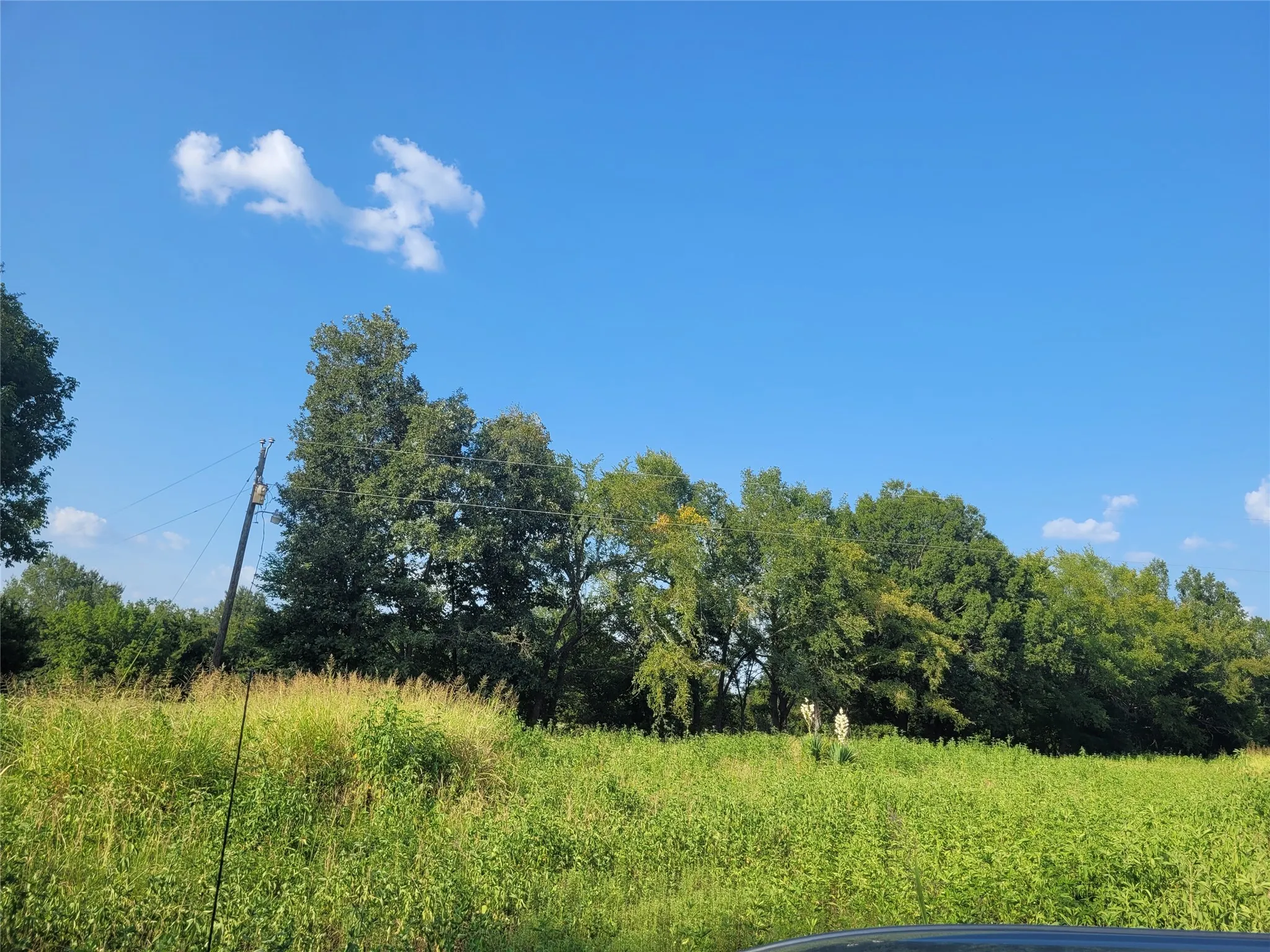 Improved Land For Sale in Red River (TX) County , TBD County Road 2140, Detroit, Texas 75436, 0, 0, Garage spaces, 0 Sqft, built in 0, mls#21204628, Real Estate Agent in Detroit, Homes For Sale in Red River (TX) county, Homes For Sale in Detroit, Realtor in Detroit Texas, Real Estate Brokerage Independent Realty Texas, Luminita Cordes Realtor