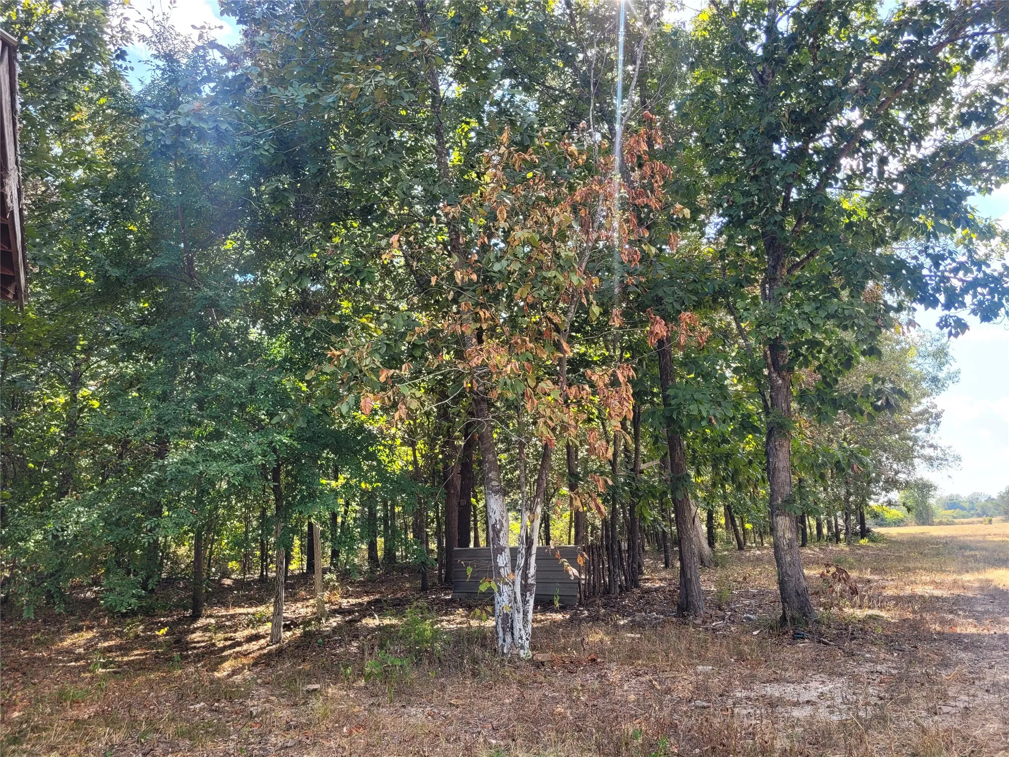 Improved Land For Sale in Red River (TX) County , TBD County Road 2140, Detroit, Texas 75436, 0, 0, Garage spaces, 0 Sqft, built in 0, mls#21204628, Real Estate Agent in Detroit, Homes For Sale in Red River (TX) county, Homes For Sale in Detroit, Realtor in Detroit Texas, Real Estate Brokerage Independent Realty Texas, Luminita Cordes Realtor