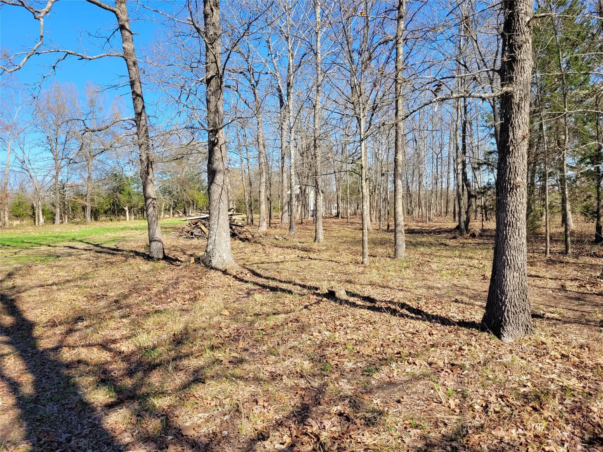 Improved Land For Sale in Red River (TX) County , TBD County Road 2140, Detroit, Texas 75436, 0, 0, Garage spaces, 0 Sqft, built in 0, mls#21204628, Real Estate Agent in Detroit, Homes For Sale in Red River (TX) county, Homes For Sale in Detroit, Realtor in Detroit Texas, Real Estate Brokerage Independent Realty Texas, Luminita Cordes Realtor