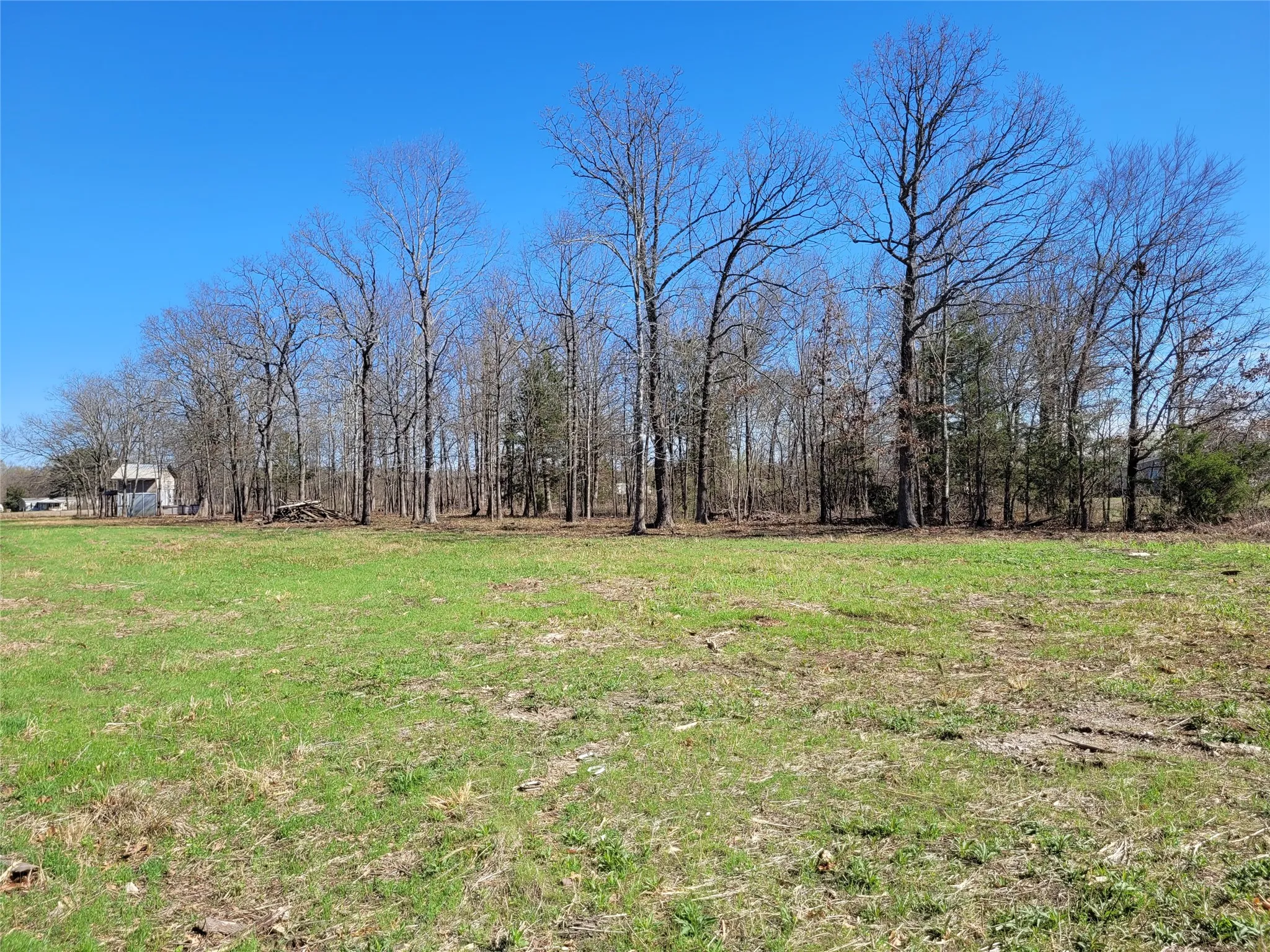 Improved Land For Sale in Red River (TX) County , TBD County Road 2140, Detroit, Texas 75436, 0, 0, Garage spaces, 0 Sqft, built in 0, mls#21204628, Real Estate Agent in Detroit, Homes For Sale in Red River (TX) county, Homes For Sale in Detroit, Realtor in Detroit Texas, Real Estate Brokerage Independent Realty Texas, Luminita Cordes Realtor