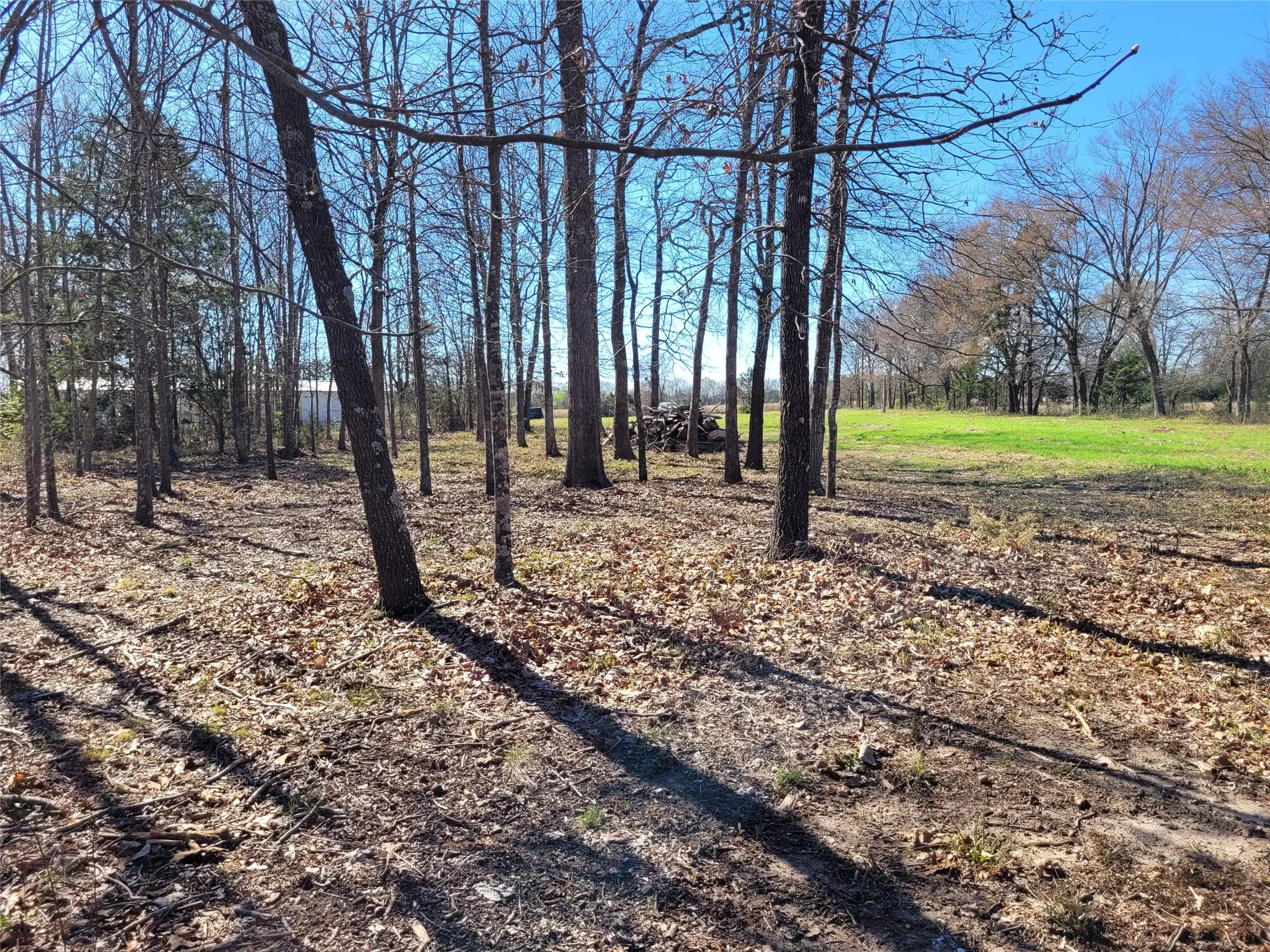 Improved Land For Sale in Red River (TX) County , TBD County Road 2140, Detroit, Texas 75436, 0, 0, Garage spaces, 0 Sqft, built in 0, mls#21204628, Real Estate Agent in Detroit, Homes For Sale in Red River (TX) county, Homes For Sale in Detroit, Realtor in Detroit Texas, Real Estate Brokerage Independent Realty Texas, Luminita Cordes Realtor