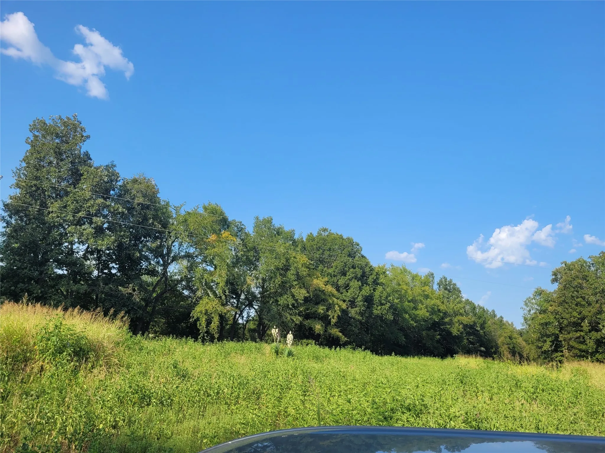Improved Land For Sale in Red River (TX) County , TBD County Road 2140, Detroit, Texas 75436, 0, 0, Garage spaces, 0 Sqft, built in 0, mls#21204628, Real Estate Agent in Detroit, Homes For Sale in Red River (TX) county, Homes For Sale in Detroit, Realtor in Detroit Texas, Real Estate Brokerage Independent Realty Texas, Luminita Cordes Realtor