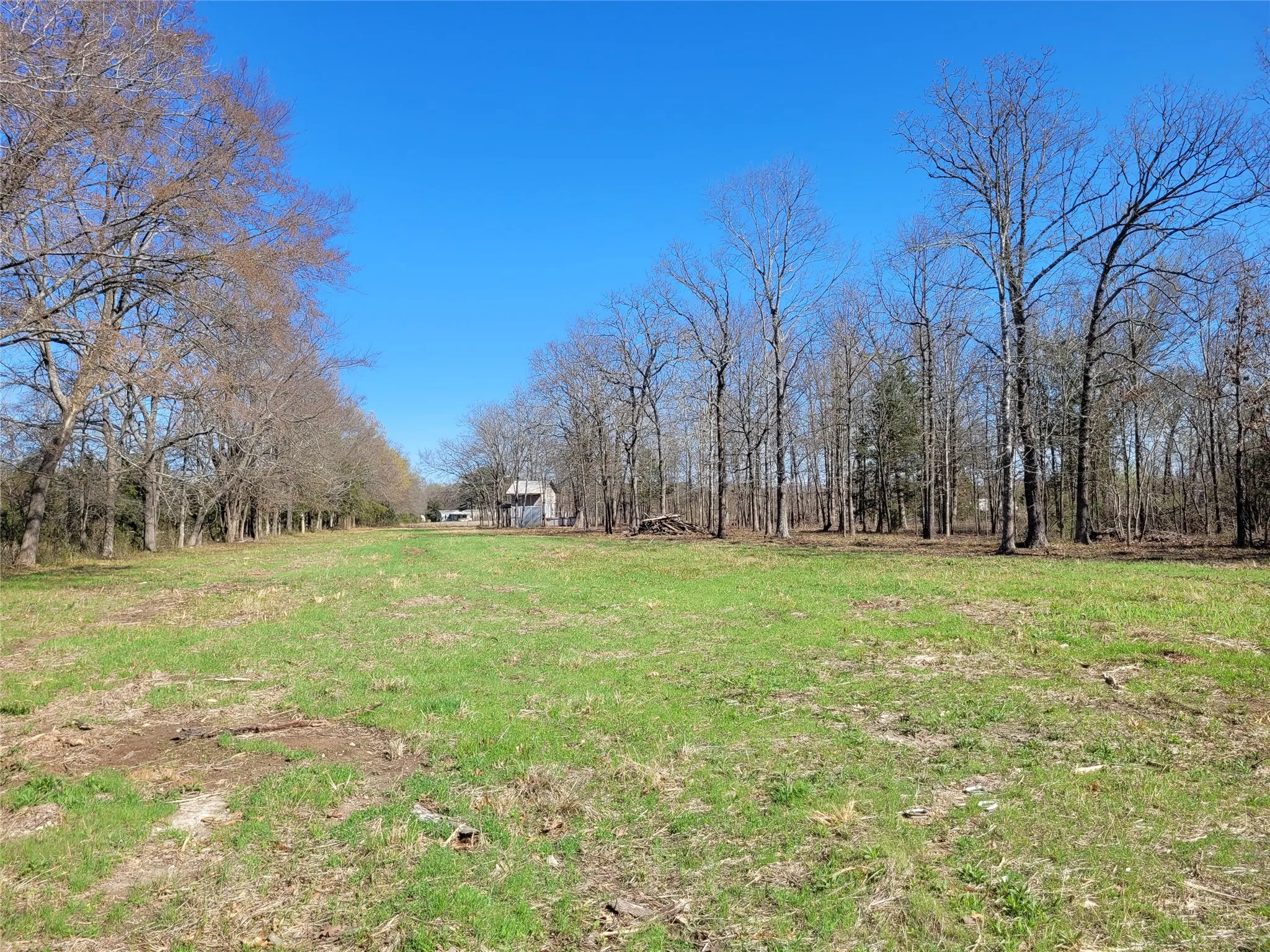 Improved Land For Sale in Red River (TX) County , TBD County Road 2140, Detroit, Texas 75436, 0, 0, Garage spaces, 0 Sqft, built in 0, mls#21204628, Real Estate Agent in Detroit, Homes For Sale in Red River (TX) county, Homes For Sale in Detroit, Realtor in Detroit Texas, Real Estate Brokerage Independent Realty Texas, Luminita Cordes Realtor