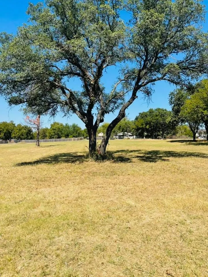 Unimproved Land For Sale in Parker County , Lot 12 (Phase 2) Arrow Point Court, Weatherford, Texas 76087, 0, 0, Garage spaces, 0 Sqft, built in 0, Price $155,000, mls#21199399, Real Estate Agent in Weatherford, Homes For Sale in Parker county, Homes For Sale in Weatherford, Realtor in Weatherford Texas, Real Estate Brokerage Independent Realty Texas, Luminita Cordes Realtor