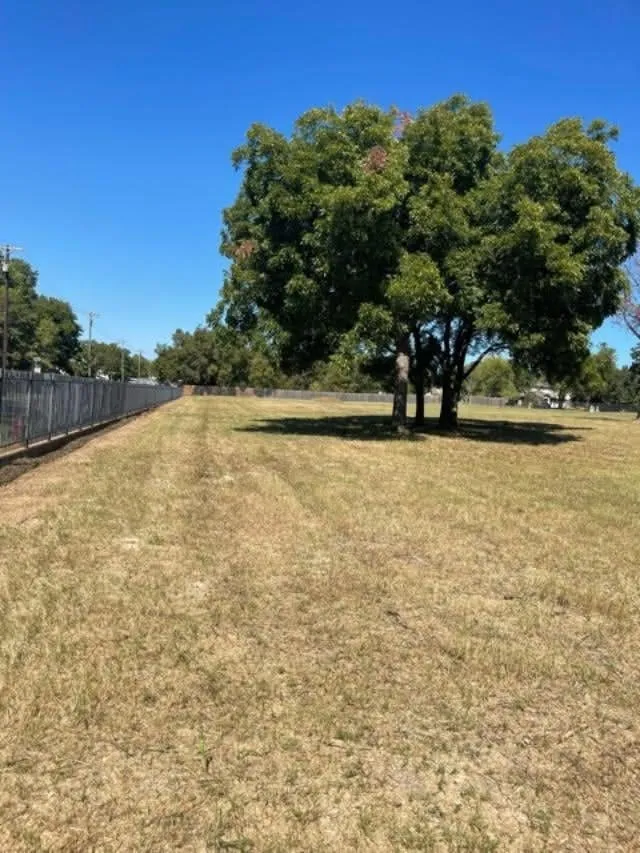 Unimproved Land For Sale in Parker County , Lot 3 (Phase 1) Arrow Point Drive, Weatherford, Texas 76087, 0, 0, Garage spaces, 0 Sqft, built in 0, Price $115,500, mls#21199277, Real Estate Agent in Weatherford, Homes For Sale in Parker county, Homes For Sale in Weatherford, Realtor in Weatherford Texas, Real Estate Brokerage Independent Realty Texas, Luminita Cordes Realtor