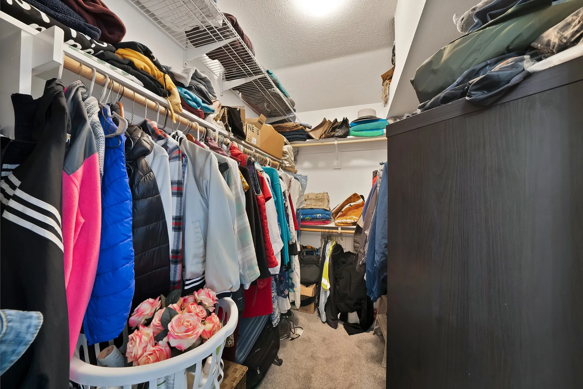 Walk in closet featuring light carpet
