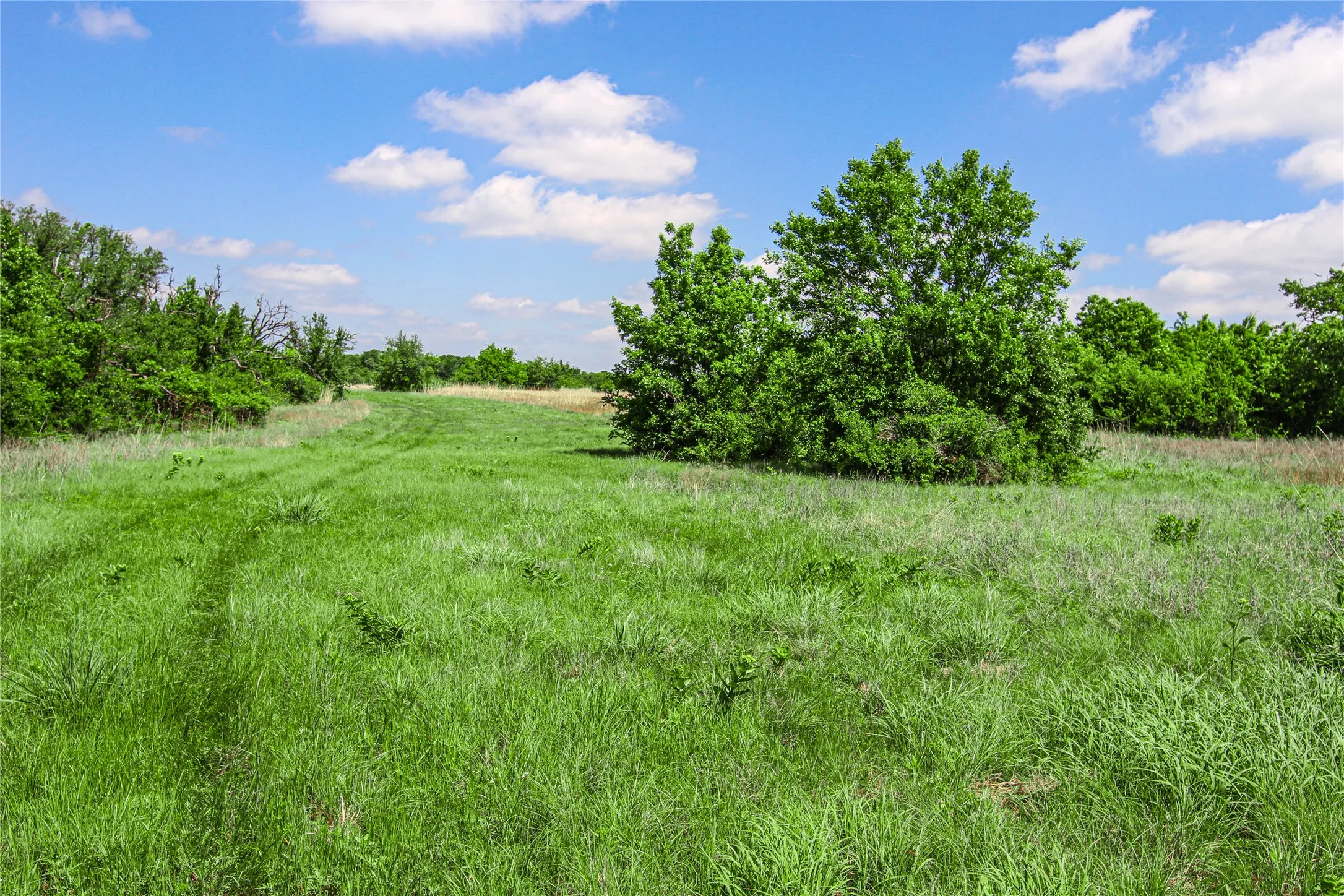 Unimproved Land For Sale in Montague County , TBD Merritt Road, Forestburg, Texas 76239, 0, 0, Garage spaces, 0 Sqft, built in 0, Price $1,899,000, mls#21204755, Real Estate Agent in Forestburg, Homes For Sale in Montague county, Homes For Sale in Forestburg, Realtor in Forestburg Texas, Real Estate Brokerage Independent Realty Texas, Luminita Cordes Realtor