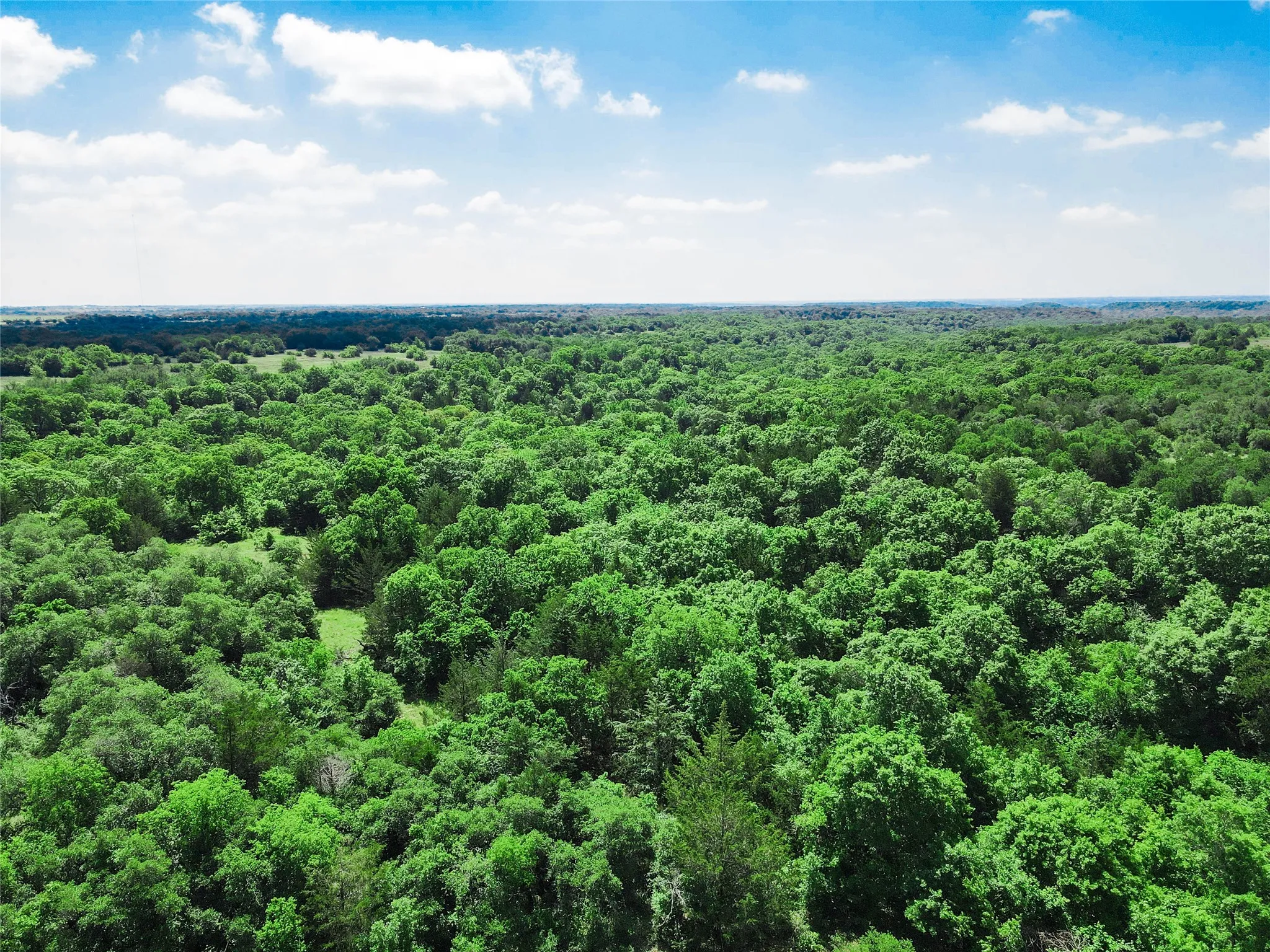 Unimproved Land For Sale in Montague County , TBD Merritt Road, Forestburg, Texas 76239, 0, 0, Garage spaces, 0 Sqft, built in 0, Price $1,899,000, mls#21204755, Real Estate Agent in Forestburg, Homes For Sale in Montague county, Homes For Sale in Forestburg, Realtor in Forestburg Texas, Real Estate Brokerage Independent Realty Texas, Luminita Cordes Realtor