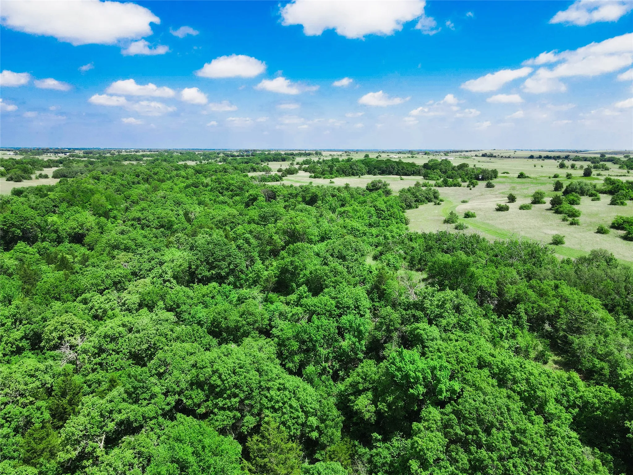 Unimproved Land For Sale in Montague County , TBD Merritt Road, Forestburg, Texas 76239, 0, 0, Garage spaces, 0 Sqft, built in 0, Price $1,899,000, mls#21204755, Real Estate Agent in Forestburg, Homes For Sale in Montague county, Homes For Sale in Forestburg, Realtor in Forestburg Texas, Real Estate Brokerage Independent Realty Texas, Luminita Cordes Realtor