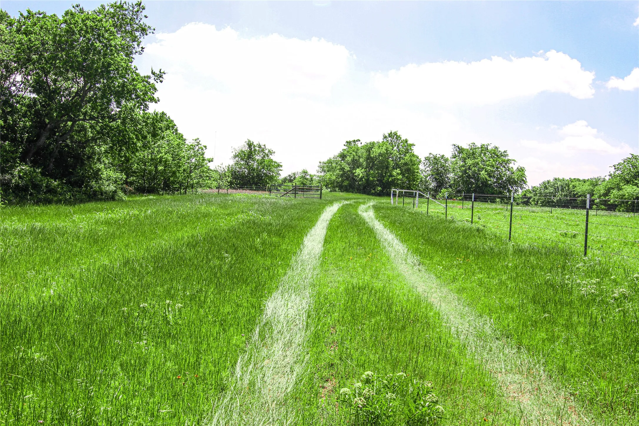 Unimproved Land For Sale in Montague County , TBD Merritt Road, Forestburg, Texas 76239, 0, 0, Garage spaces, 0 Sqft, built in 0, Price $1,899,000, mls#21204755, Real Estate Agent in Forestburg, Homes For Sale in Montague county, Homes For Sale in Forestburg, Realtor in Forestburg Texas, Real Estate Brokerage Independent Realty Texas, Luminita Cordes Realtor