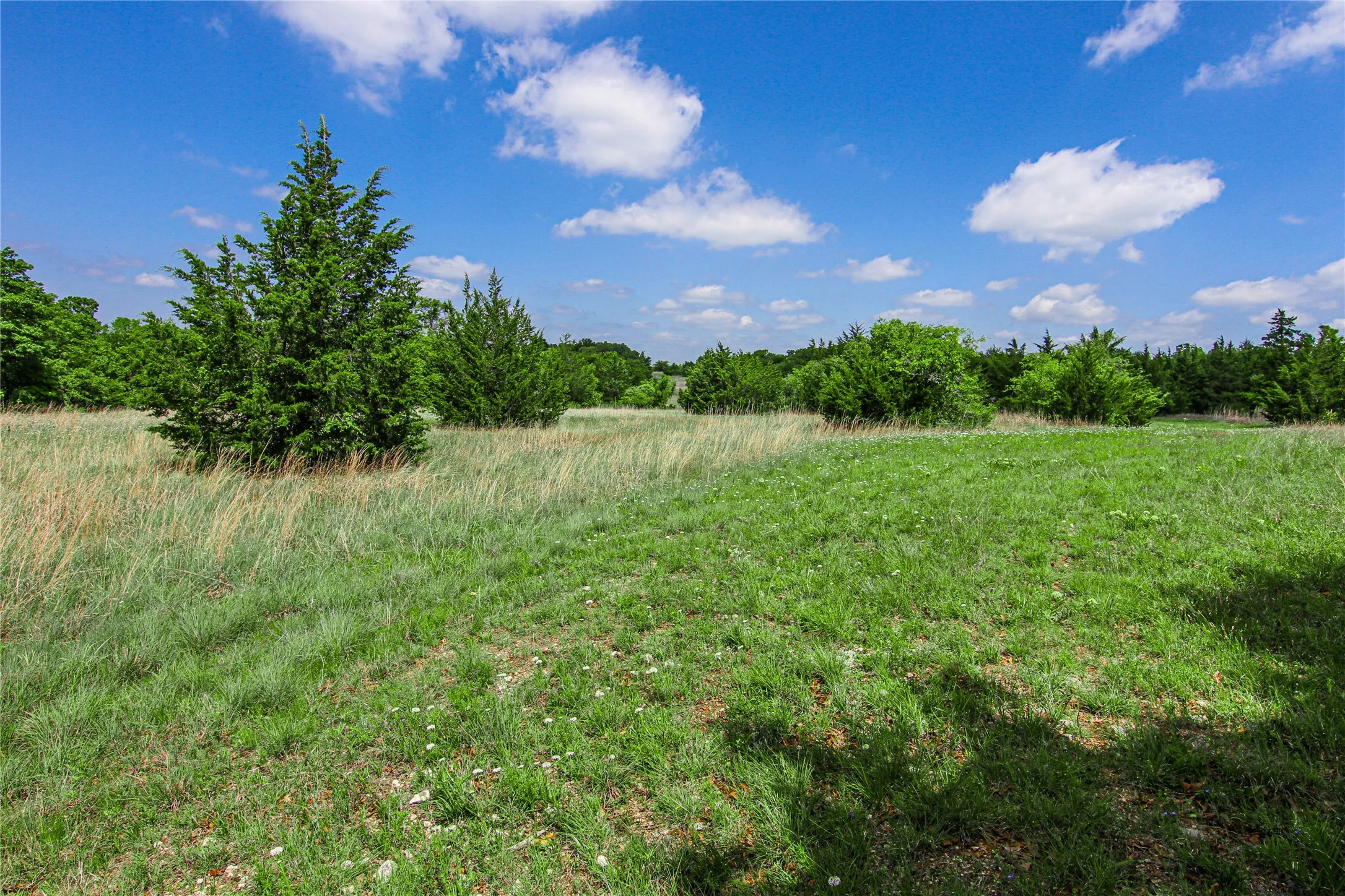 Unimproved Land For Sale in Montague County , TBD Merritt Road, Forestburg, Texas 76239, 0, 0, Garage spaces, 0 Sqft, built in 0, Price $1,899,000, mls#21204755, Real Estate Agent in Forestburg, Homes For Sale in Montague county, Homes For Sale in Forestburg, Realtor in Forestburg Texas, Real Estate Brokerage Independent Realty Texas, Luminita Cordes Realtor