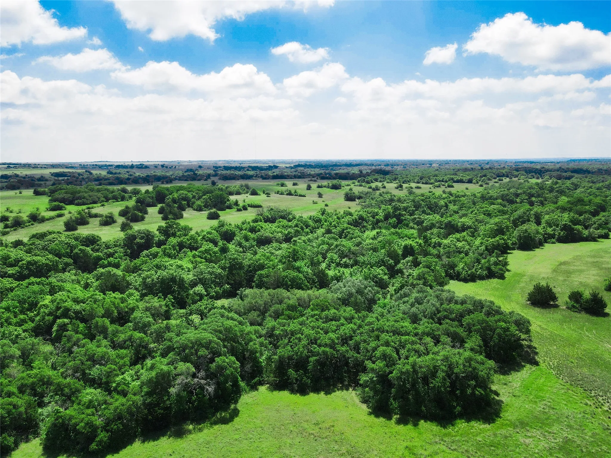 Unimproved Land For Sale in Montague County , TBD Merritt Road, Forestburg, Texas 76239, 0, 0, Garage spaces, 0 Sqft, built in 0, Price $1,899,000, mls#21204755, Real Estate Agent in Forestburg, Homes For Sale in Montague county, Homes For Sale in Forestburg, Realtor in Forestburg Texas, Real Estate Brokerage Independent Realty Texas, Luminita Cordes Realtor