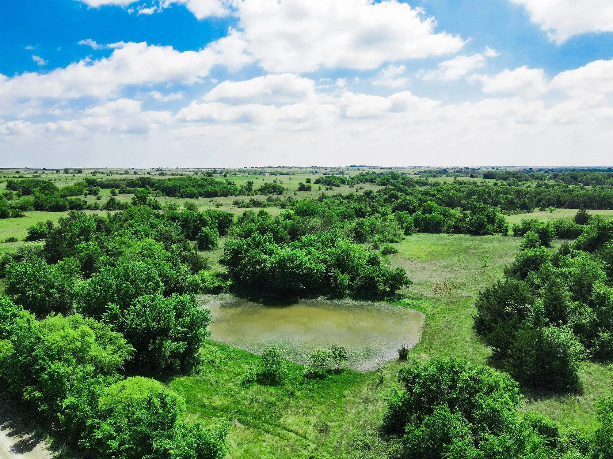 Unimproved Land For Sale in Montague County , TBD Merritt Road, Forestburg, Texas 76239, 0, 0, Garage spaces, 0 Sqft, built in 0, Price $1,899,000, mls#21204755, Real Estate Agent in Forestburg, Homes For Sale in Montague county, Homes For Sale in Forestburg, Realtor in Forestburg Texas, Real Estate Brokerage Independent Realty Texas, Luminita Cordes Realtor