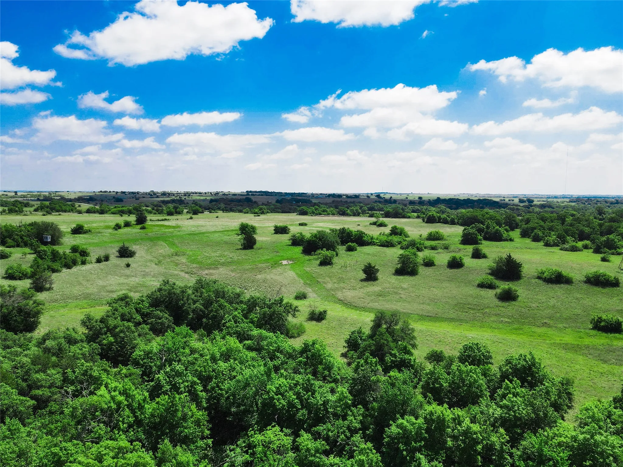 Unimproved Land For Sale in Montague County , TBD Merritt Road, Forestburg, Texas 76239, 0, 0, Garage spaces, 0 Sqft, built in 0, Price $1,899,000, mls#21204755, Real Estate Agent in Forestburg, Homes For Sale in Montague county, Homes For Sale in Forestburg, Realtor in Forestburg Texas, Real Estate Brokerage Independent Realty Texas, Luminita Cordes Realtor