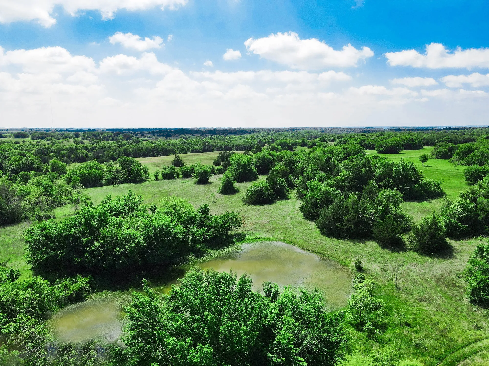 Unimproved Land For Sale in Montague County , TBD Merritt Road, Forestburg, Texas 76239, 0, 0, Garage spaces, 0 Sqft, built in 0, Price $1,899,000, mls#21204755, Real Estate Agent in Forestburg, Homes For Sale in Montague county, Homes For Sale in Forestburg, Realtor in Forestburg Texas, Real Estate Brokerage Independent Realty Texas, Luminita Cordes Realtor