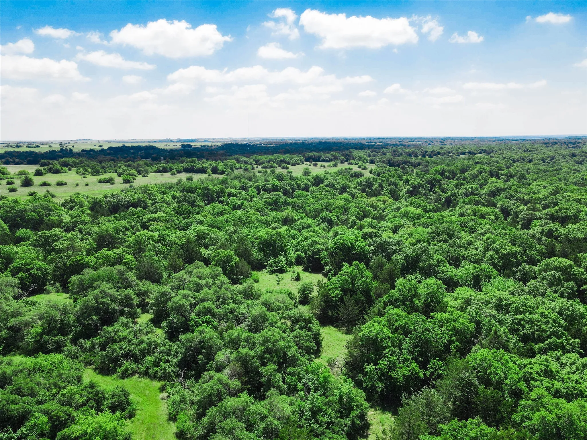 Unimproved Land For Sale in Montague County , TBD Merritt Road, Forestburg, Texas 76239, 0, 0, Garage spaces, 0 Sqft, built in 0, Price $1,899,000, mls#21204755, Real Estate Agent in Forestburg, Homes For Sale in Montague county, Homes For Sale in Forestburg, Realtor in Forestburg Texas, Real Estate Brokerage Independent Realty Texas, Luminita Cordes Realtor