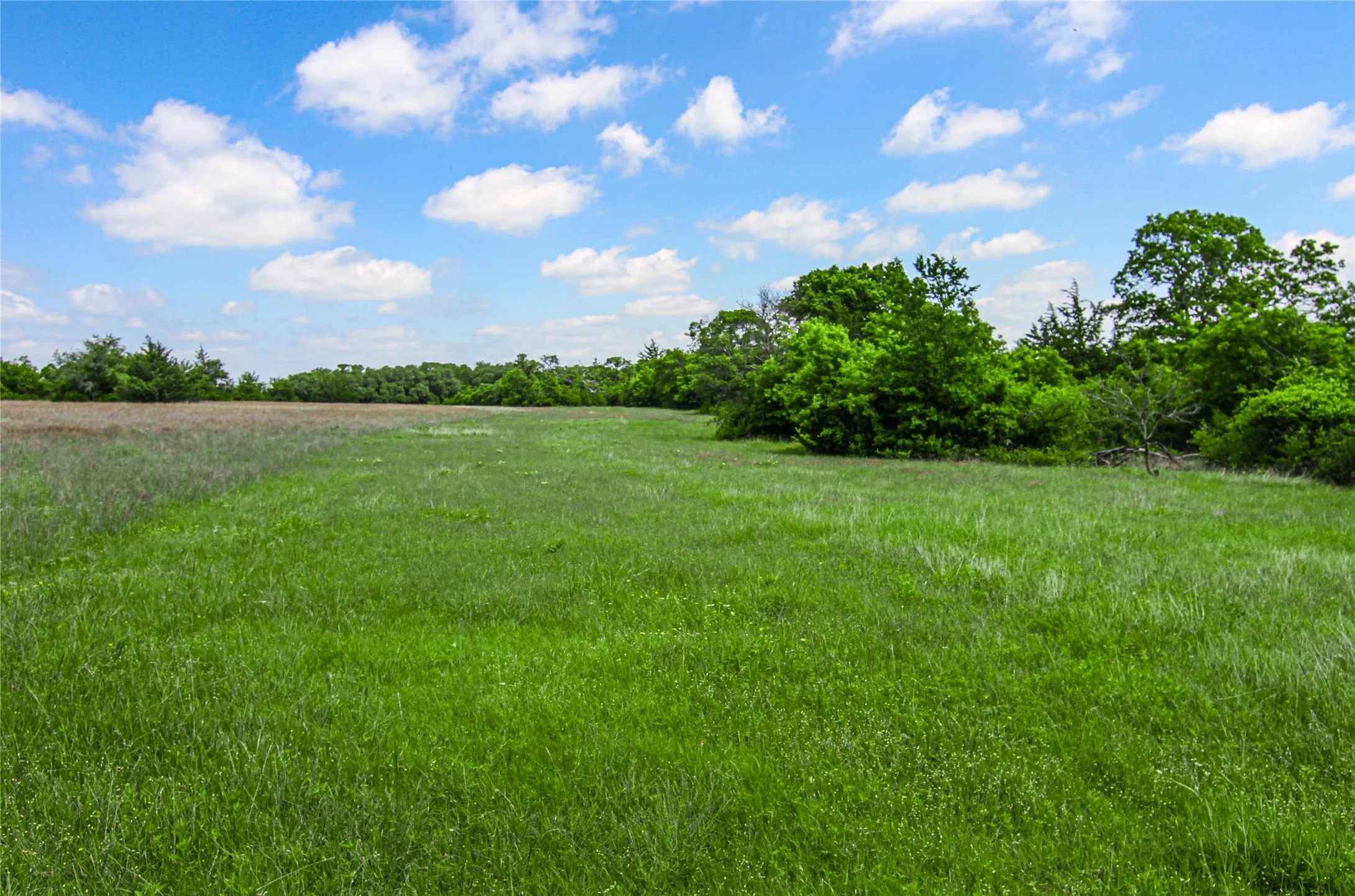 Unimproved Land For Sale in Montague County , TBD Merritt Road, Forestburg, Texas 76239, 0, 0, Garage spaces, 0 Sqft, built in 0, Price $1,899,000, mls#21204755, Real Estate Agent in Forestburg, Homes For Sale in Montague county, Homes For Sale in Forestburg, Realtor in Forestburg Texas, Real Estate Brokerage Independent Realty Texas, Luminita Cordes Realtor