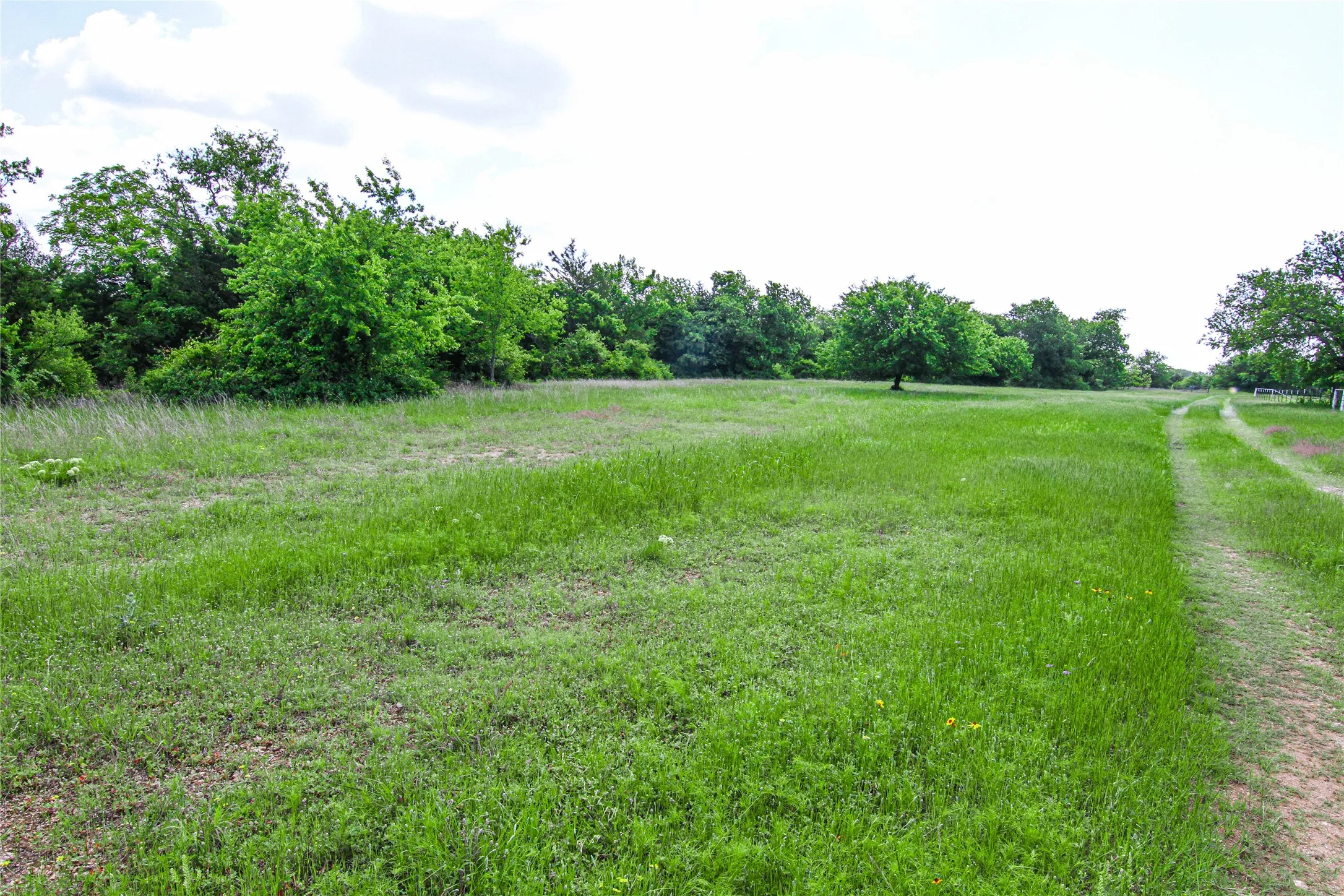 Unimproved Land For Sale in Montague County , TBD Merritt Road, Forestburg, Texas 76239, 0, 0, Garage spaces, 0 Sqft, built in 0, Price $1,899,000, mls#21204755, Real Estate Agent in Forestburg, Homes For Sale in Montague county, Homes For Sale in Forestburg, Realtor in Forestburg Texas, Real Estate Brokerage Independent Realty Texas, Luminita Cordes Realtor