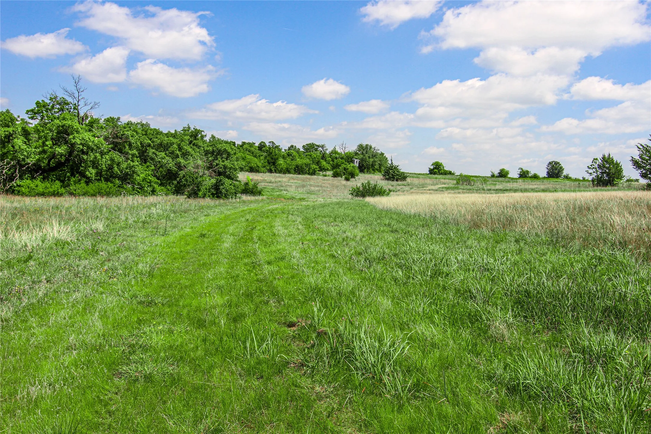Pasture