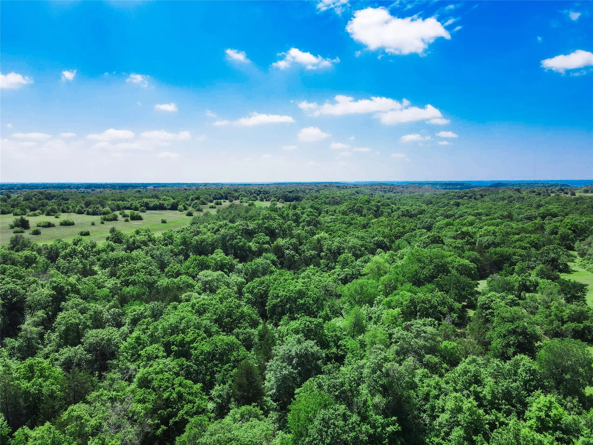 Unimproved Land For Sale in Montague County , TBD Merritt Road, Forestburg, Texas 76239, 0, 0, Garage spaces, 0 Sqft, built in 0, Price $1,899,000, mls#21204755, Real Estate Agent in Forestburg, Homes For Sale in Montague county, Homes For Sale in Forestburg, Realtor in Forestburg Texas, Real Estate Brokerage Independent Realty Texas, Luminita Cordes Realtor