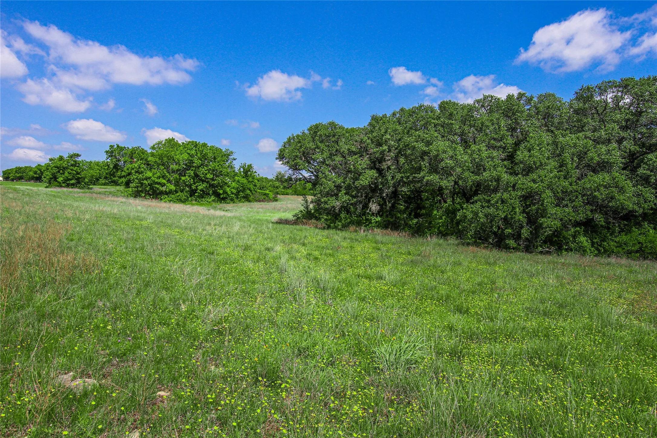 Pasture