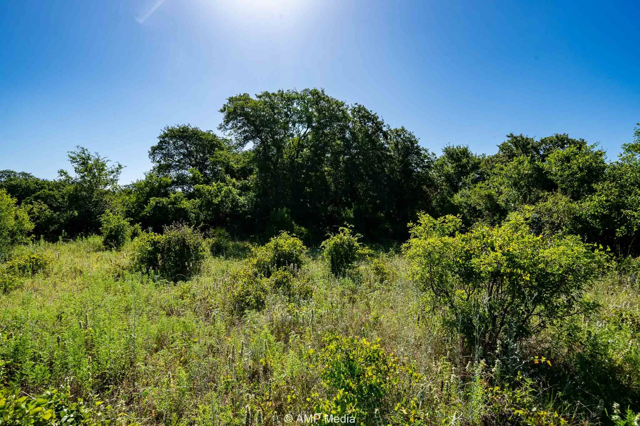Unimproved Land For Sale in Eastland County , 9999 County Road 240, Rising Star, Texas 76471, 0, 0, Garage spaces, 0 Sqft, built in 0, mls#21204946, Real Estate Agent in Rising Star, Homes For Sale in Eastland county, Homes For Sale in Rising Star, Realtor in Rising Star Texas, Real Estate Brokerage Independent Realty Texas, Luminita Cordes Realtor