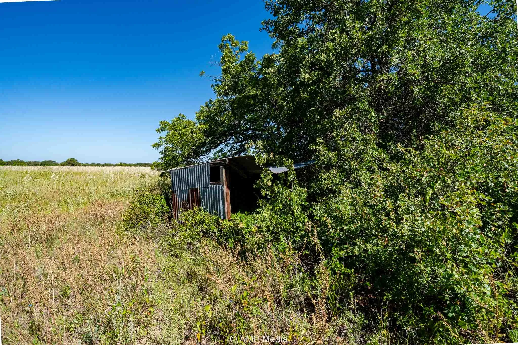 Unimproved Land For Sale in Eastland County , 9999 County Road 240, Rising Star, Texas 76471, 0, 0, Garage spaces, 0 Sqft, built in 0, mls#21204946, Real Estate Agent in Rising Star, Homes For Sale in Eastland county, Homes For Sale in Rising Star, Realtor in Rising Star Texas, Real Estate Brokerage Independent Realty Texas, Luminita Cordes Realtor