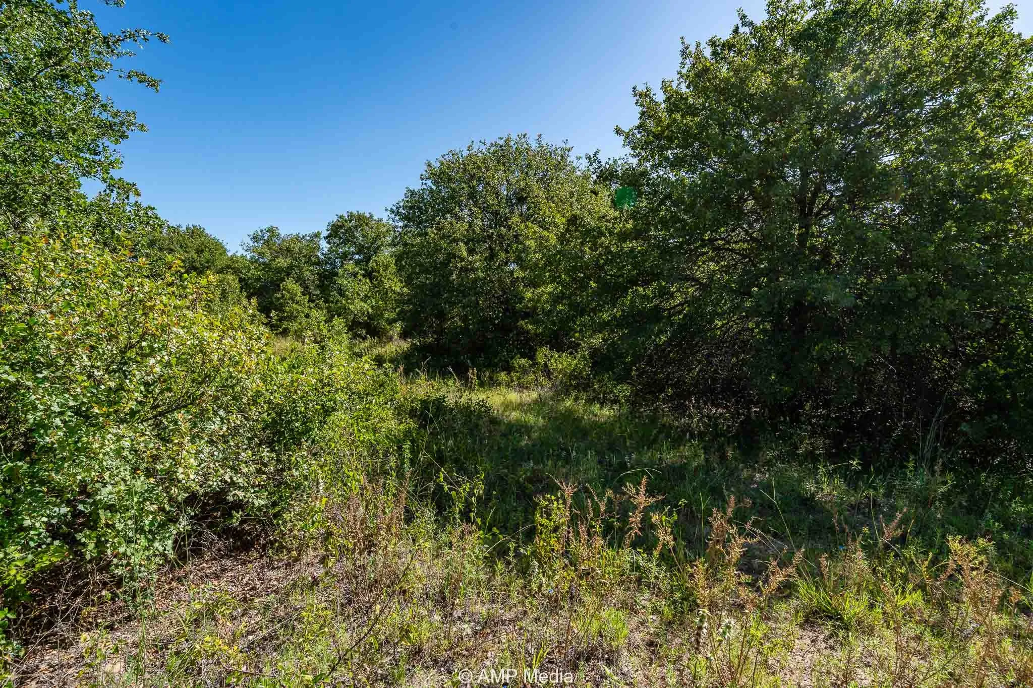 Unimproved Land For Sale in Eastland County , 9999 County Road 240, Rising Star, Texas 76471, 0, 0, Garage spaces, 0 Sqft, built in 0, mls#21204946, Real Estate Agent in Rising Star, Homes For Sale in Eastland county, Homes For Sale in Rising Star, Realtor in Rising Star Texas, Real Estate Brokerage Independent Realty Texas, Luminita Cordes Realtor