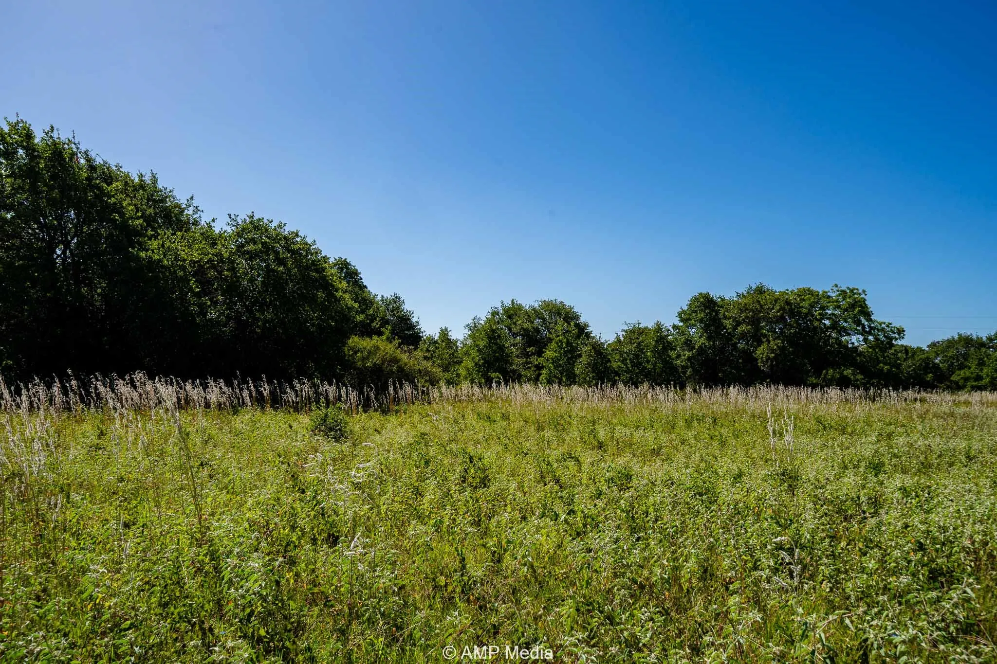Unimproved Land For Sale in Eastland County , 9999 County Road 240, Rising Star, Texas 76471, 0, 0, Garage spaces, 0 Sqft, built in 0, mls#21204946, Real Estate Agent in Rising Star, Homes For Sale in Eastland county, Homes For Sale in Rising Star, Realtor in Rising Star Texas, Real Estate Brokerage Independent Realty Texas, Luminita Cordes Realtor
