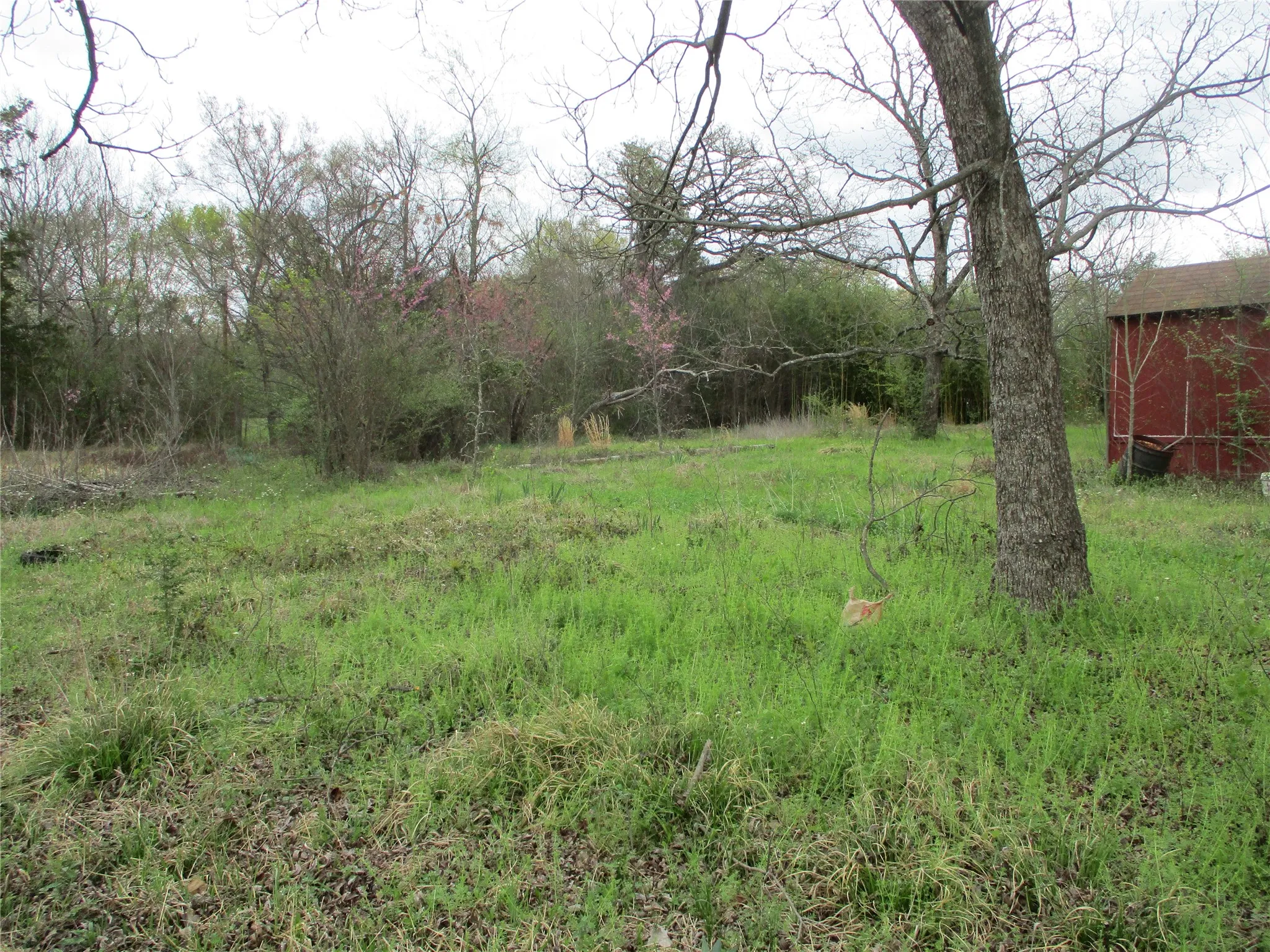 Single Family Residence For Sale in Rains County , 522 E QUITMAN Street, Emory, Texas 75440, 3 Bedroom, 1 Bathroom, Garage spaces, 1,456 Sqft, built in 1949, Preowned, mls#21204993, Real Estate Agent in Emory, Homes For Sale in Rains county, Homes For Sale in Emory, Realtor in Emory Texas, Real Estate Brokerage Independent Realty Texas, Luminita Cordes Realtor