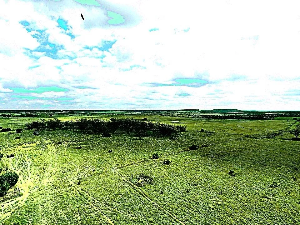Improved Land For Sale in Hamilton County , TBD County Road 224, Jonesboro, Texas 76538, 0, 0, Garage spaces, 0 Sqft, built in 0, Price $1,272,700, mls#21205167, Real Estate Agent in Jonesboro, Homes For Sale in Hamilton county, Homes For Sale in Jonesboro, Realtor in Jonesboro Texas, Real Estate Brokerage Independent Realty Texas, Luminita Cordes Realtor