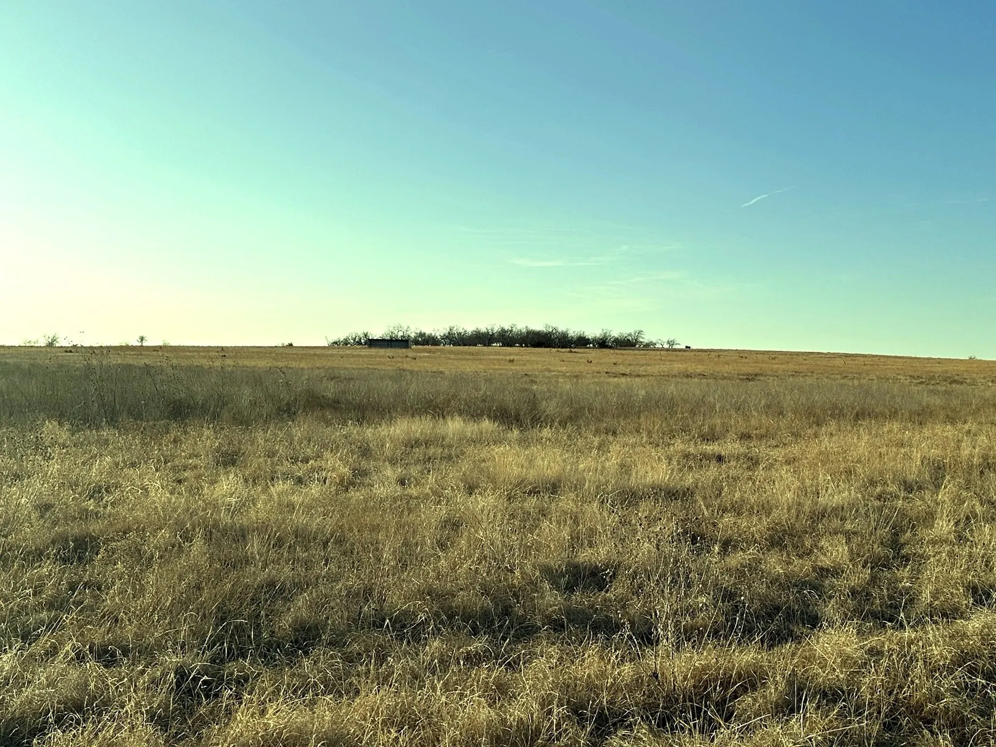 Improved Land For Sale in Hamilton County , TBD County Road 224, Jonesboro, Texas 76538, 0, 0, Garage spaces, 0 Sqft, built in 0, Price $1,272,700, mls#21205167, Real Estate Agent in Jonesboro, Homes For Sale in Hamilton county, Homes For Sale in Jonesboro, Realtor in Jonesboro Texas, Real Estate Brokerage Independent Realty Texas, Luminita Cordes Realtor