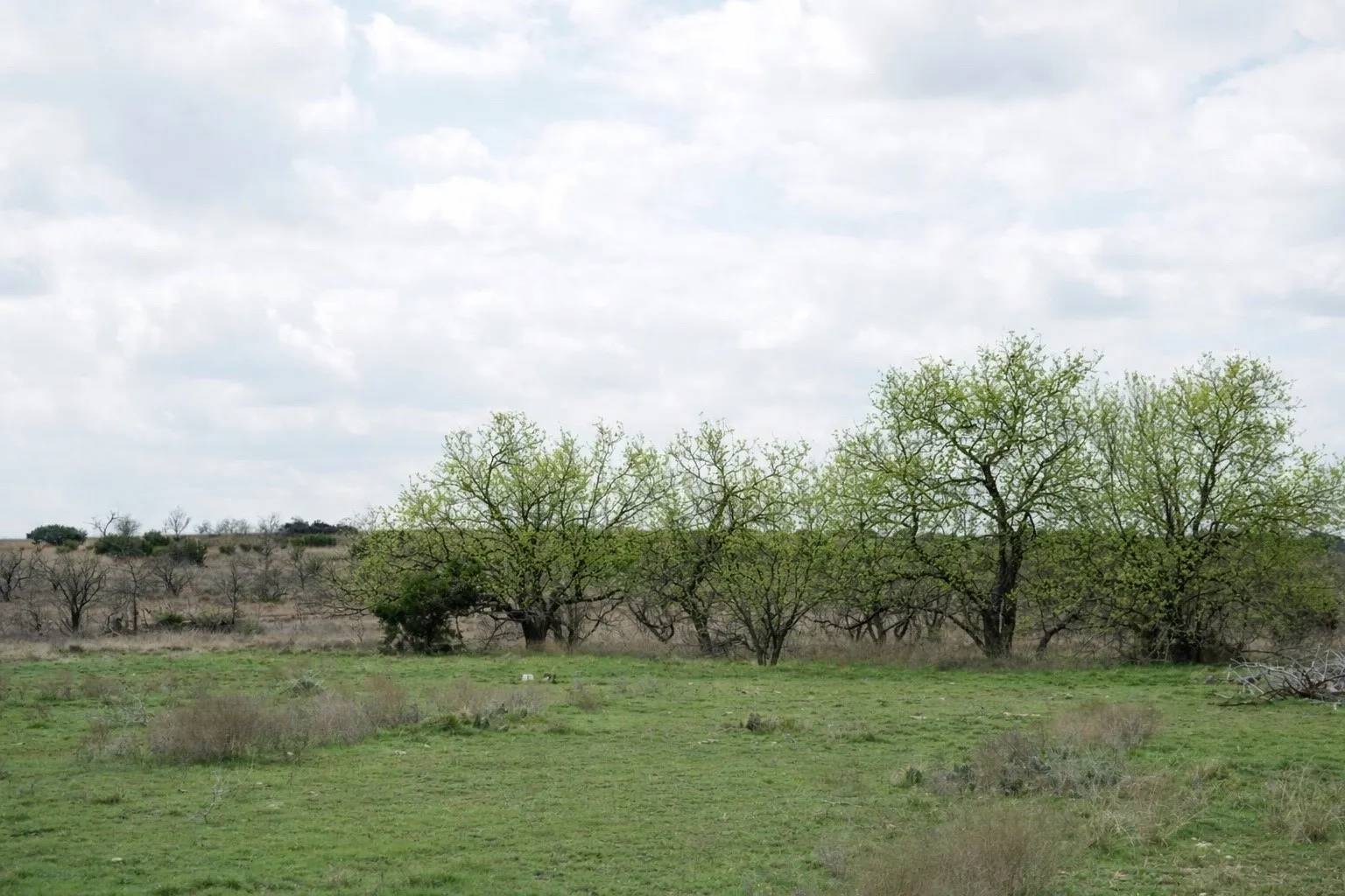 Improved Land For Sale in Hamilton County , TBD County Road 224, Jonesboro, Texas 76538, 0, 0, Garage spaces, 0 Sqft, built in 0, Price $1,272,700, mls#21205167, Real Estate Agent in Jonesboro, Homes For Sale in Hamilton county, Homes For Sale in Jonesboro, Realtor in Jonesboro Texas, Real Estate Brokerage Independent Realty Texas, Luminita Cordes Realtor